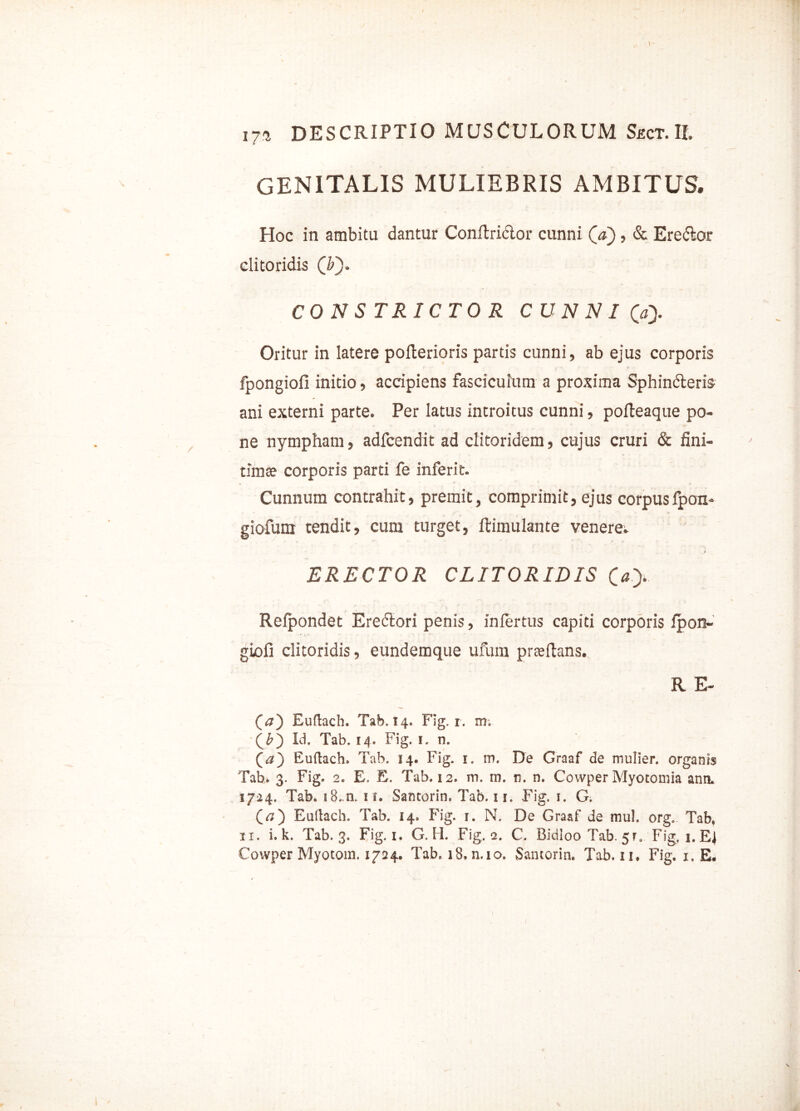 genitalis muliebris ambitus. Hoc in ambitu dantur Conltriblor cunni Qa), & Eredlor clitoridis (T). CONS TRICTO R CUNNI (aj. Oritur in latere pofterioris partis cunni, ab ejus corporis fpongiofi initio, accipiens fasciculum a proxima Sphincteris ani externi parte. Per latus introitus cunni, polteaque po- ne nympham, adfcendit ad clitoridem, cujus cruri & fini- timae corporis parti fe inferie. Cunnum contrahit, premit, comprimit, ejus corpusfpon- giofum tendit, cum turget, ftimulante venere; ERECTOR CLITORIDIS (a). Relpondet Eredtori penis, infertus capiti corporis Ipon- giofi clitoridis, eundemque ufum prteftans. R E- (a) Euftach. Tab. 14. Fig. r. m. (&) Id. Tab. 14. Fig. 1. n. (a) Euftach. Tab. 14. Fig. 1. m. De Graaf de mulier, organis Tab. 3. Fig. 2. E. E. Tab. 12. m. m. n. n. Cowper Myotomia ann. 3724. Tab. i8.n. 11. Santorin. Tab. ii. Fig. 1. G. («) Euftach. Tab. 14. Fig. 1. N. De Graaf de mu!, org. Tab. 11. i. k. Tab. 3. Fig. 1. G. II. Fig. 2. C. Bidloo Tab. 51. Fig, 1. Ei