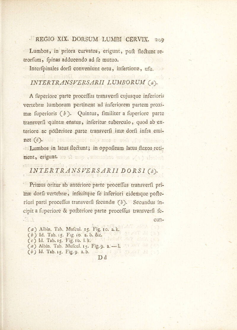 Lumbos, in priora curvatos, erigunt, poft fledhmt re- trorfum, fpinas adducendo ad fe mutuo. Interfpinales dorfl conveniunt ortu, infertione, ufu. INTERTRANSVERSARII LUMBORUM (a). A fuperiore parte procelTus transverfi cujusque inferioris vertebrae lumborum pertinent ad inferiorem partem proxi- mae fuperioris (b'). Quintus, fimiliter a fuperiore parte transverfi quintae enatus, inferitur tuberculo, quod ab ex- teriore ac pdfteriore parte transverfi imae dorfi infra emi- / net (c> ; • ; ; Lumbos in latus flechint; in oppofitum latus flexos reti- nent, erigunt. ; , ' f r ’’ ■; ' \ *' ' ' * - • t - . . - * . . A INTERTRANSVERSARII DORSI (a\ _ i i i i i 1 .  : r . - . ... Primus oritur ab anteriore parte procefius transverfi pri- inae dorfi vertebrae , inferitque fe inferiori eidemque pofte- riori parti procefius transverfi fecundae (b'). Secundus in- cipit a fuperiore & pofteriore parte procefius transverfi fe- . „ cun- t» L .j, ^ » r ■* v Ca) Albin. Tab. Mufcul. 15. Fig. 10. a. k. (£)~Id. Tab. 15. Fig, 10. a. b, &c. (c) Id. Tab. 15. Fig, id. i. k. (<2) Albin. Tab. Mufcul. 15. Fig.9. a.—F (£9 Id. Tab. 15. Fig. 9, a. b. Dd