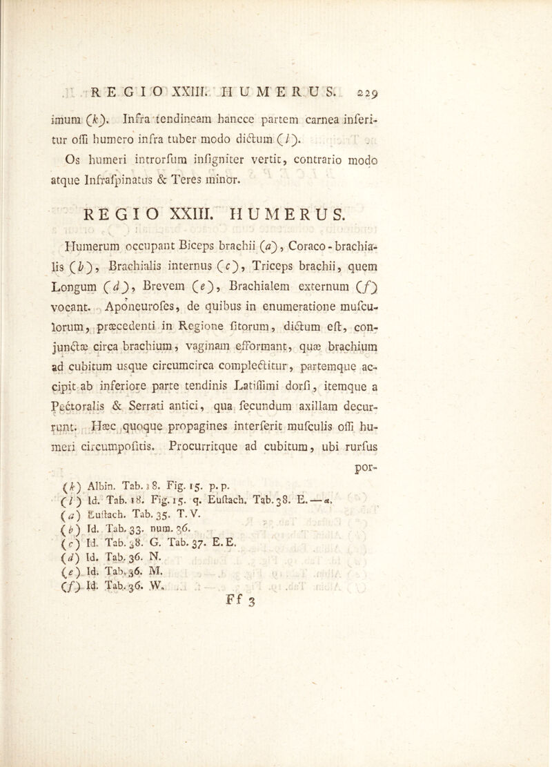 imum Qk). Infra tendineam hancce partem carnea inferi- t tur offi humero infra tuber modo dictum (/). Os humeri introrfum infigniter vertit, contrario modo atque Infrafpinatus & Teres minor. REGIO XXIII. HUMERU S. •* ! £ >' \ J 1 ' ■ -< ' ' - •• • Humerum occupant Biceps brachii (V), Coraco - brachia- lis (f ), Brachialis internus (c), Triceps brachii, quem Longum (d), Brevem (e), Brachialem externum (/) J* vocant. Aponeurofes, de quibus in enumeratione mufcu- i,' : w. lorum, procedenti in P^egione fi totum, didum eft, con- juncta) circa brachium, vaginam efFormant, quas brachium ad cubitum usque circumcirca compleftitur, partemque ac- cipit ab inferiore parte tendinis Latiffimi dorfi, itemque a Pectoralis & Serrati antici, qua fecundum axillam decur- runt. Htec quoque propagines interferit mufculis offi hu- meri circumpofuis. Procurritque ad cubitum, ubi rurfus por- {k) Albin. Tab. s 8. Fig. 15. p. p. (/) Id. Tab. 18. Fig. 15. q. Euftach. Tab.38. E. —«, ( a) Euftach. Tab, 35. T. V. (6) Id. Tab.33. nura.36. (r) Id. Tab. 38. G. Tab. 37. E. E. (d) Id. Tab, 36. N. (e) Id. Tab,36. M. Cf) Id. Tab, 36. ,W» Ff 3
