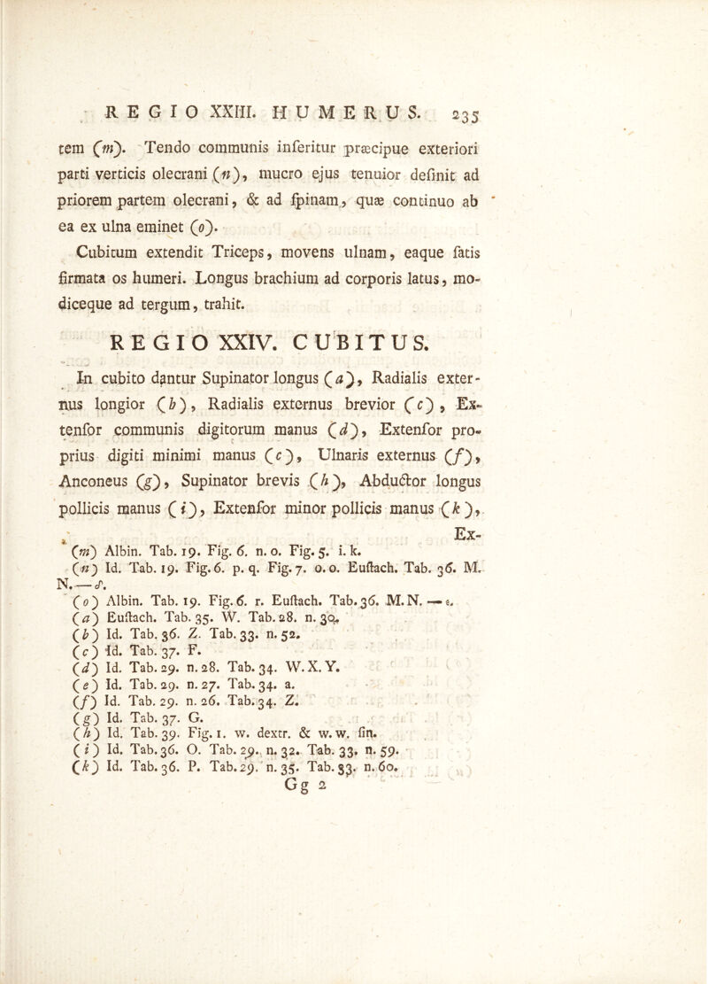 tem (m). Tendo communis inferitur praecipue exteriori parti verticis olecrani («), mucro ejus tenuior definit ad priorem partem olecrani, & ad fpinam, quae continuo ab ea ex ulna eminet (0). Cubitum extendit Triceps, movens ulnam, eaque fatis firmata os humeri. Longus brachium ad corporis latus, mo- diceque ad tergum, trahit. REGIO XXIV. CUBITUS. In cubito dantur Supinator longus (a), Radialis exter- nus longior (£>)» Radialis externus brevior (c~) , Ex» tenfor communis digitorum manus (O), Extenfor pro- prius digiti minimi manus CO» Ulnaris externus (/), Anconeus Q9» Supinator brevis O), Abdudtor longus pollicis manus (j i), Extenfor minor pollicis manus Ck ), f Ex- fm) Albin. Tab. 19. Fig. 6. n. o. Fig. 5. i. k. («) Id. Tab. 19. Fig.6. p. q. Fig.7. 0.0. Euftach. Tab. 36. M. N f. (0) Albin. Tab. 19. Fig.6. r. Euftach. Tab.36. M.N. — e. (<?) Euftach. Tab. 35. W. Tab. 28. n. 30. (O Id. Tab. 36. Z. Tab. 33, . n. 52. t co Id. Tab. 37. F. * (O Id. Tab. 29. n. 28. Tab. 34- W. X. Y. =•. * t co Id. Tab. 29. n. 27. Tab. 34- a. ' 'O - (/) Id. Tab. 29. n. 26. Tab. 34- Z. ■ • f. (O Id. Tab. 37. G. y f '1 : (O Id. Tab. 39. Fig.1• , w. dextr. & w. w. fin. (O Id. Tab. 36. O. Tab. 29 . n. 32. Tab. 33. , n. 59. co Id. Tab. 36. P. Tab. 29 ■ y . n. 35. Tab. 33. n. 60. Gg 2