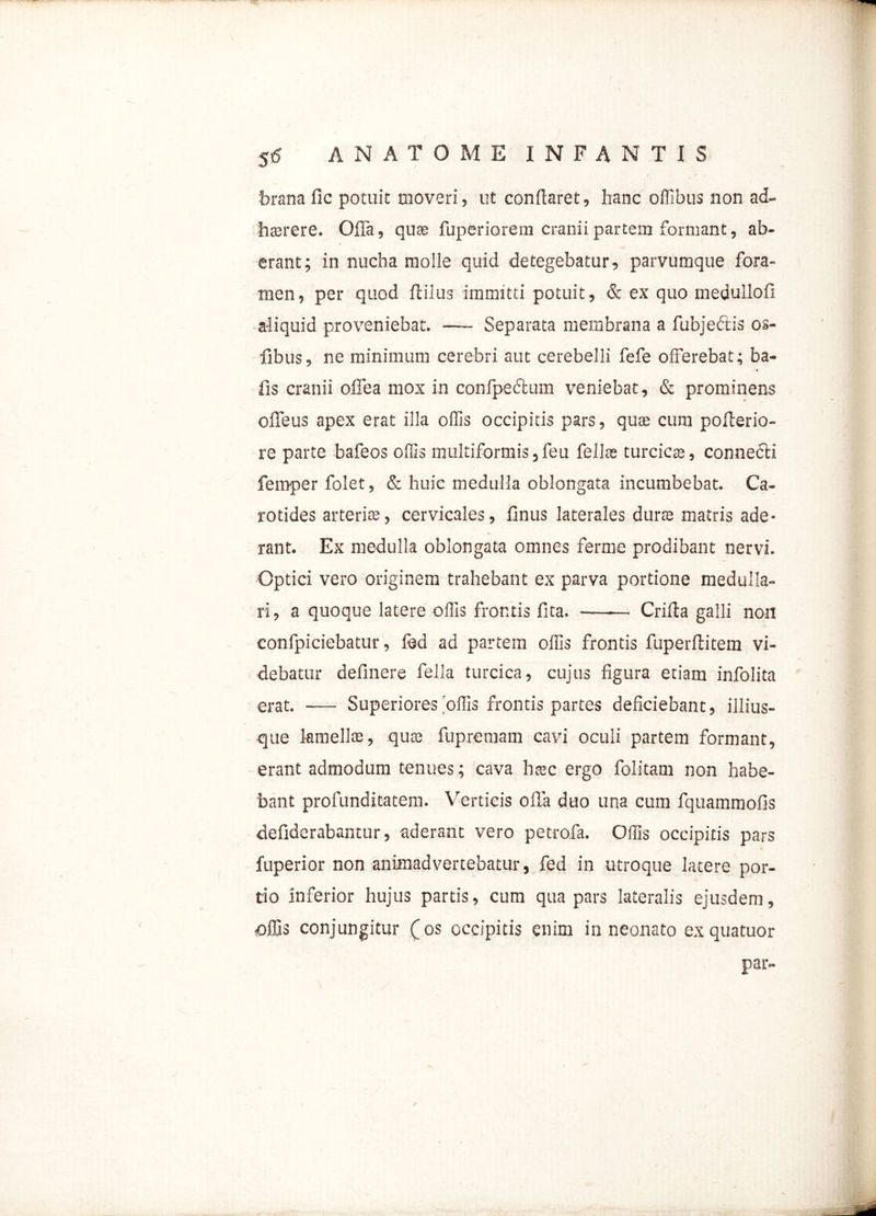 brana fic potuit moveri, ut conflaret, hanc offibus non ad- haerere. Offa, quae fuperiorem cranii partem formant, ab- erant; in nucha molle quid detegebatur, parvumque fora- men, per quod ftiius immitti potuit, & ex quo medullofi aliquid proveniebat. — Separata membrana a fubjectis os- fibus, ne minimum cerebri aut cerebelli fefe offerebat; ba- » fis cranii offea mox in confpeftum veniebat, & prominens offeus apex erat illa offis occipitis pars, quae cum pofterio- re parte bafeos offis multiformis,feu felite turcicae, connecti femper folet, & huic medulla oblongata incumbebat. Ca- rotides arterite, cervicales, finus laterales durte matris ade- rant. Ex medulla oblongata omnes ferme prodibant nervi. Optici vero originem trahebant ex parva portione medulla- ri, a quoque latere offis frontis fita. Crifla galli non confpiciebatur, fed ad partem offis frontis fuperftitem vi- debatur delinere fella turcica, cujus figura etiam infolita erat. -— Superiores offis frontis partes deficiebant, illius- que lamella:, qute fupremam cavi oculi partem formant, erant admodum tenues; cava htec ergo folitam non habe- bant profunditatem. Verticis offa duo una cum fquammofis defiderabantur, aderant vero petrofa. Offis occipitis pars fuperior non animadvertebatur, fed in utroque latere por- tio inferior hujus partis, cum qua pars lateralis ejusdem, offis conjungitur (os occipitis enim in neonato exquatuor par-