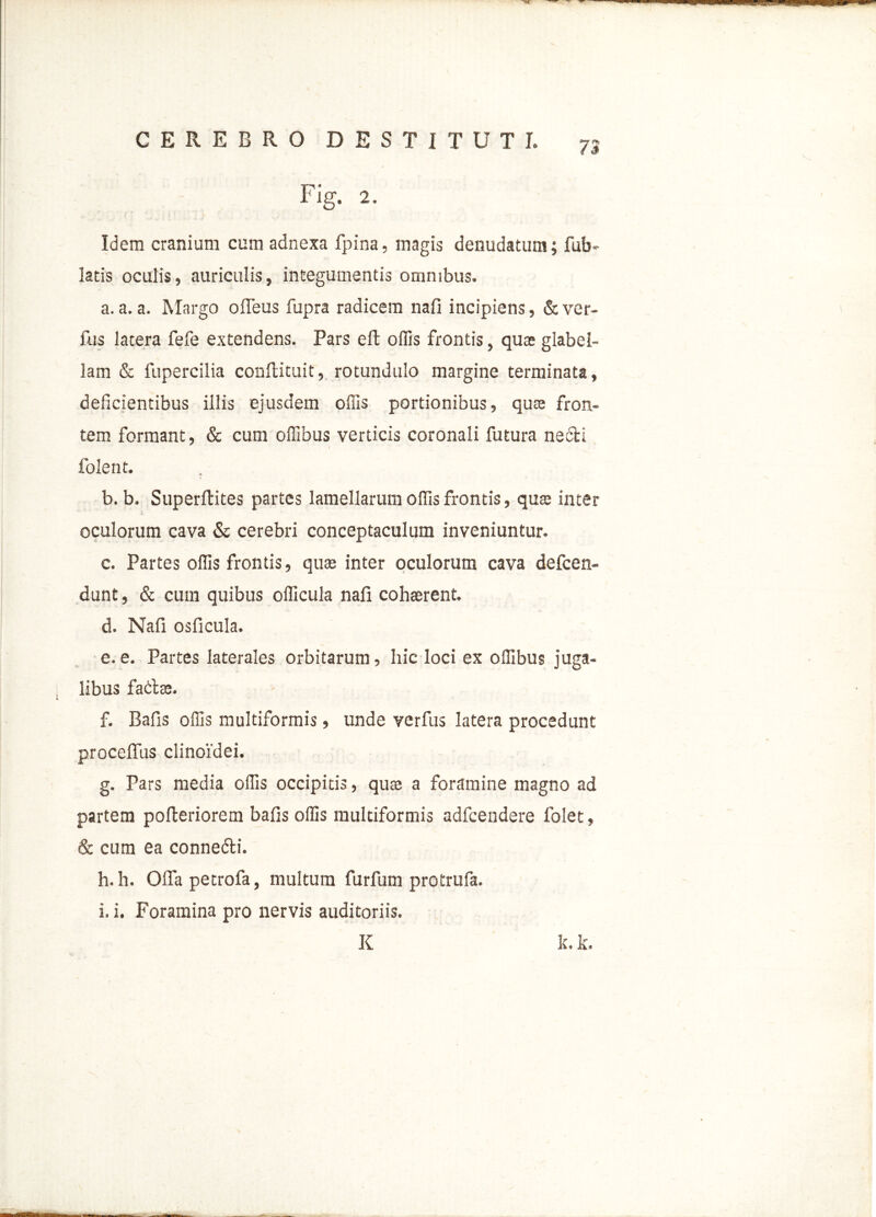 Fig. 2. Idem cranium cum adnexa fpina, magis denudatum; fub- latis oculis, auriculis, integumentis omnibus. a. a. a. Margo ofleus fupra radicem nafi incipiens, & ver- fus latera fefe extendens. Pars eft offis frontis, quae glabel- lam & fupercilia conftituit, rotundulo margine terminata, deficientibus illis ejusdem offis portionibus, quae fron- tem formant, & cum offibus verticis coronali futura ne&i i folent. . b. b. Superftites partes lamellarum offis frontis, quae inter oculorum cava & cerebri conceptaculum inveniuntur. c. Partes offis frontis, quae inter oculorum cava defcen- dunt, & cum quibus officula nafi cohaerent. d. Nafi osficula. e. e. Partes laterales orbitarum, hic loci ex offibus juga- libus fadaj. f. Bafis offis multiformis, unde verfus latera procedunt proceffus clinoidei. g. Pars media offis occipitis, quae a foramine magno ad partem pofteriorem bafis offis multiformis adfcendere folet, & cum ea conne&i. h. h. Offa petrofa, multum furfum protrufa. i. i. Foramina pro nervis auditoriis. K It. k.