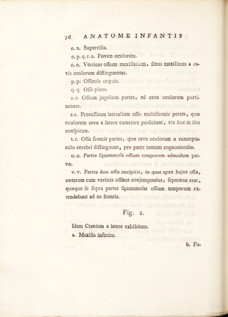 70 n. n. Supercilia. o. p. q. r. s. Fovere oculorum. o. o. Vertices oflium maxillarium > finus maxillares a ca- * « e * a vis oculorum diftinguentes. p. p. Qfficula unguis. q. q. Offa plana. r. r. Oflium jugalium partes, ad cava oculorum perti- nentes. ✓ s. s. Proceffuum lateralium oflis multiformis partes, quae oculorum cava a latere exteriore perficiunt, vix hoc in fitu confpicute. 1.1. Offis frontis partes, qu$ cava oculorum a concepta- culo cerebri diftinguunt, pro parte tantum cognoscendae. u. u. Partes fquammofafi offium temporum admodum par- vae. .. ' : : V. V. Partes duas offis occipitis, in quas apex hujus offis, cteterum cum verticis offibus conjungendus, feparatus erat, quaeque fe fupra partes fquammofas offiiun temporum ex- tendebant ad os frontis. Fig. 2. • Idem Cranium a latere exhibitum, a. Maxilla inferior. b. Fo-