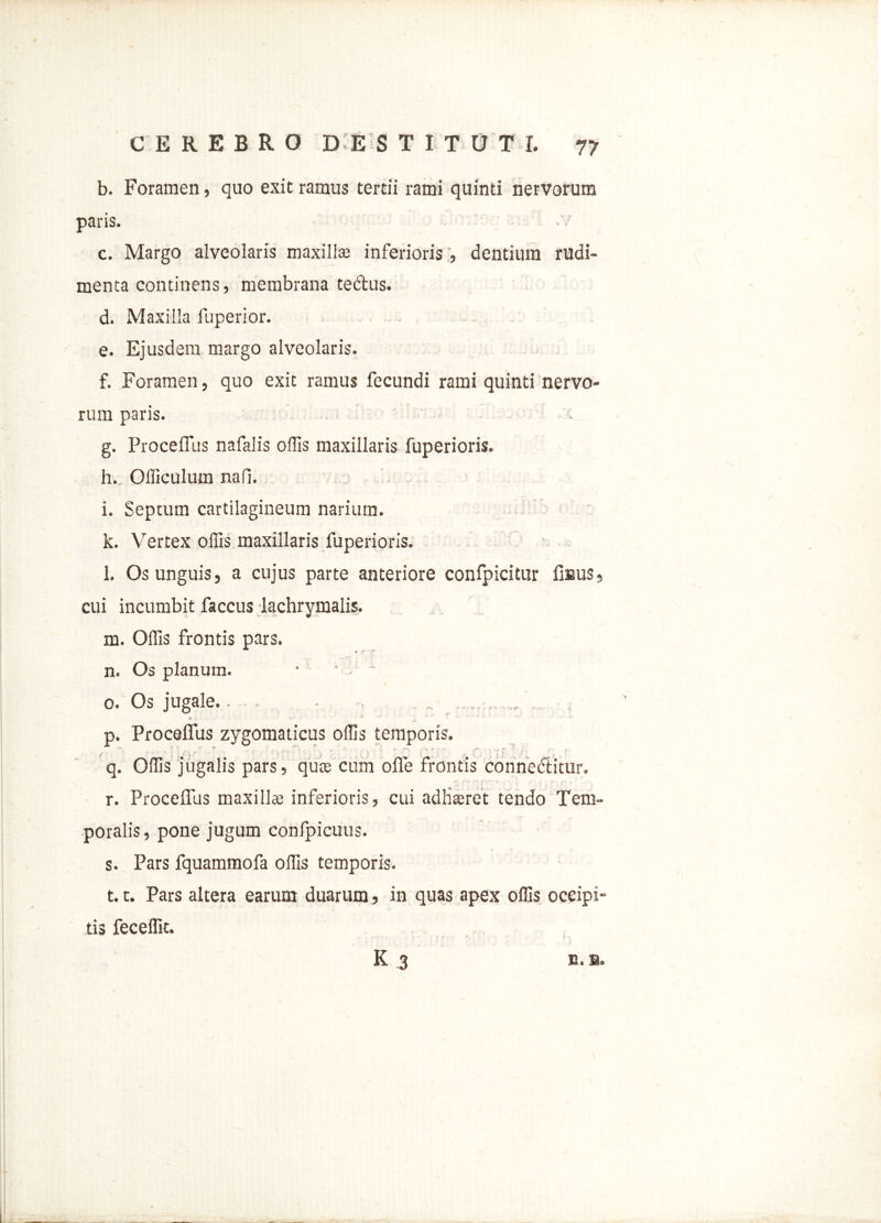b. Foramen, quo exit ramus tertii rami quinti nervorum paris. c. Margo alveolaris maxillae inferioris , dentium rudi- menta continens, membrana te&us. d. Maxilla fuperior. e. Ejusdem margo alveolaris. f. Foramen, quo exit ramus fecundi rami quinti nervo- rum paris. ; g. Procefius nafalis offis maxillaris fuperioris. h. Officulum nafi. i. Septum cartilagineum narium. k. Vertex offis maxillaris fuperioris. l. Os unguis, a cujus parte anteriore confpicitur fisus, cui incumbit faccus lachrymalis. m. Offis frontis pars. n. Os planum. • ' - 0. Os jugale.. • , t - - •• „ • • ■ - p. Procefius zygomaticus offis temporis. q. Offis jugalis pars, qute cum ofle frontis connectitur, r. Procefius maxillae inferioris, cui adfiseret tendo Tem- poralis, pone jugum conlpicuus. s. Pars fquammofa offis temporis. 1.1. Pars altera earum duarum, in quas apex offis occipi- tis feceffit.