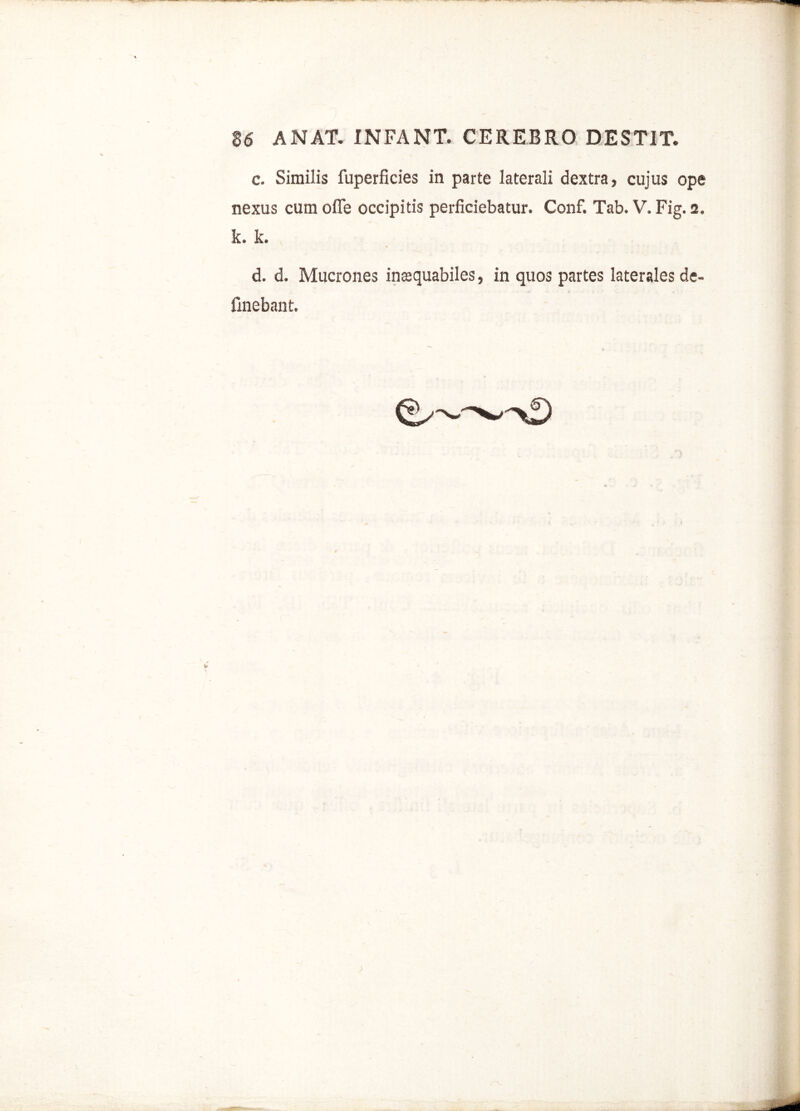 c. Similis fuperficies in parte laterali dextra, cujus ope nexus cum ofle occipitis perficiebatur. Conf. Tab. V. Fig. 2. k. k. d. d. Mucrones inaequabiles, in quos partes laterales de- finebant.