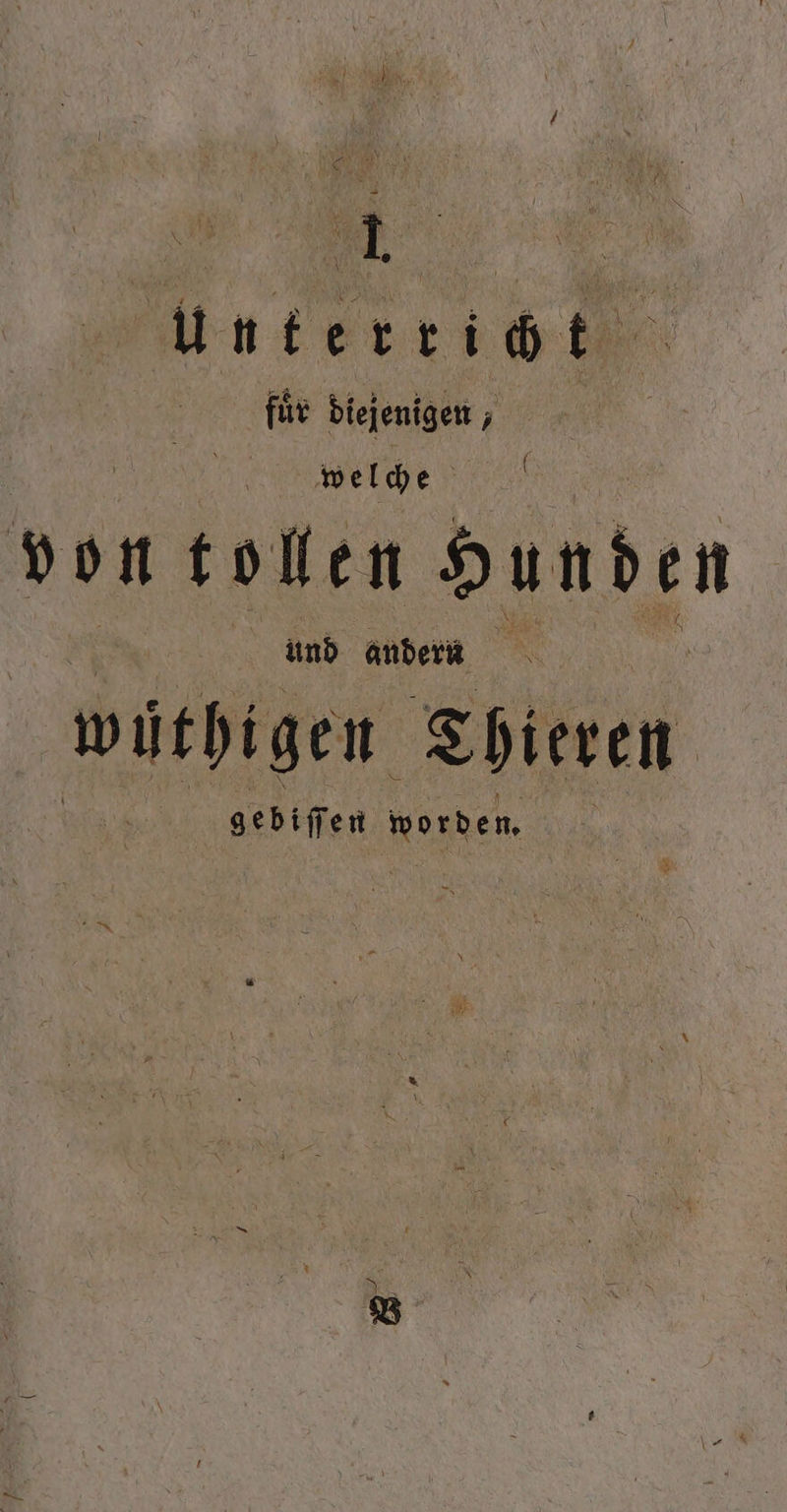 a VE 1. untertiet fuͤr diejenigen, e V von tollen dunden und andern wüthigen Thieren MR ben werden.