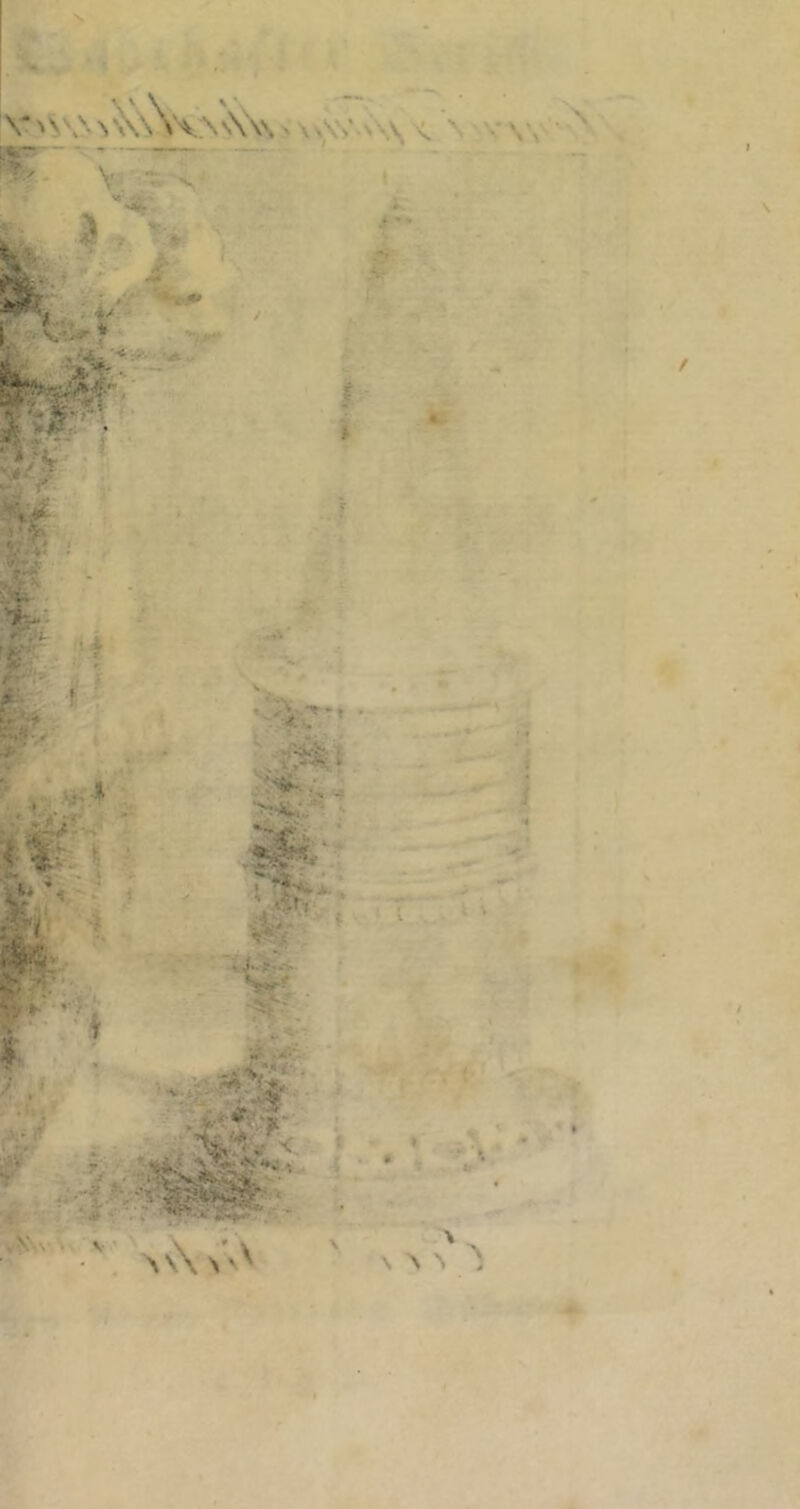 Vi \n>V.n\\ \ v\v \ . V -' « m’ji^ ^ 1 > -• -•# * ' r i’ • - ß ^ •*: Vv' ' i - K