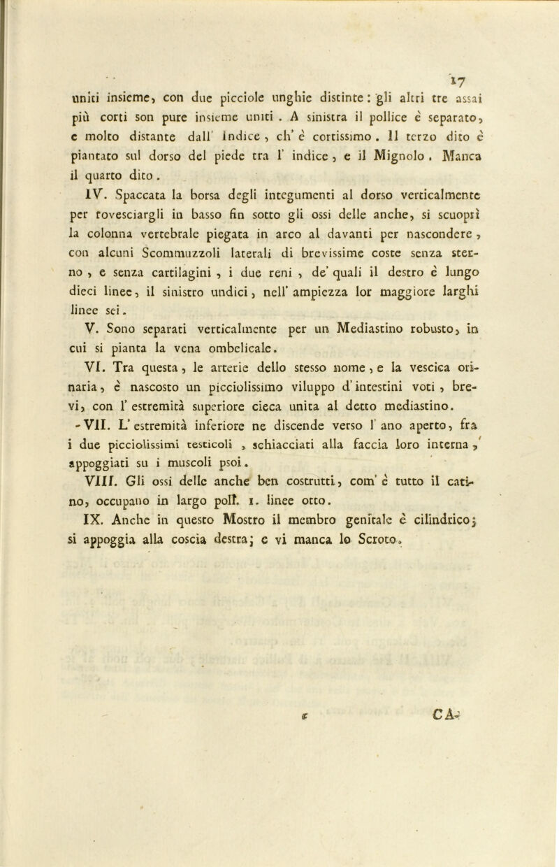 *7 unici insieme» con due picciole unghie distinte : gli altri tre assai più corti son pure insieme uniti . A sinistra il pollice è separato, c molto distante dall Ìndice , eh’ è cortissimo . 11 terzo dito è piantato sul dorso del piede tra 1’ indice , e il Mignolo . Manca il quarto dito . IV. Spaccata la borsa degli integumenti al dorso verticalmente per rovesciargli in basso fin sotto gli ossi delle anche, si scuopn la colonna vertebrale piegata in arco al davanti per nascondere , con alcuni Scommuzzoli laterali di brevissime coste senza ster- no , e senza cartilagini , i due reni , de’ quali il destro è lungo dieci linee, il sinistro undici, nell’ampiezza lor maggiore larghi linee sei. V. Sono separati verticalmente per un Mediastino robusto, in cui si pianta la vena ombelicale. VI. Tra questa, le arterie dello scesso nome , e la vescica ori- naria, e nascosto un picciolissimo viluppo d’intestini voti, bre- vi, con 1’ estremità superiore cieca unita al detto mediastino. -VII. L* estremità inferiore ne discende verso 1 ano aperto, fra i due picciolissimi testicoli , schiacciati alla faccia loro interna , appoggiati su i muscoli psoi. Vili. Gli ossi delle anche ben costrutti, com’ è tutto il cati- no, occupano in largo poli, i. linee otto. IX. Anche in questo Mostro il membro genitale è cilindrico$ si appoggia alla coscia destra; c vi manca lo Scroto. CA- ST