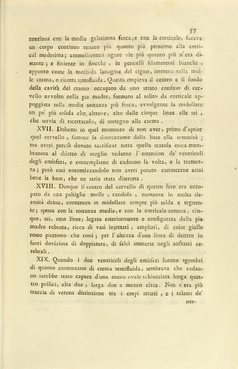 continua con la media gelatinosa fosca,e con la corticale, faceva un corpo continuo tenace più quanto più prossimo alla corti- cal medesima; ammollientesi ognor vie più quanto più n’era di- stante ; e Irniente in fiocchi , in pennelli filamentosi bianchi , appunto come la morbida lanugine del cigno, immersi nella mol- le crema, o ricotta semifluida . Questa empieva il centro e il fondo della cavita del cranio occupato da uno strato contuso di cer- vello avvolto nella pia madre, formato al solito da corticale ap- poggiata sulla media sostanza più fosca, avvolgente la midollare un po’ più solida che altrove, alto dalle cinque linee alle sei , che servia di ricettacolo, di sostegno alla crema . XVII. Dolsemi in quel momento di non aver, prima d’aprire quel cervello , fattone la dissecazione dalla base alla sommità ; ma avrei perciò dovuto sacrificar tutta quella scatola ossea mem- branosa al diletto di meglio vederne fi estension de ventricoli degli emisferi, e contemplarne di cadauno la volta, e la tramez- za ; però così notomizzandolo non avrei potuto conoscerne assai bene la base, che ne saria stata distrutta . XVIII. Dunque il centro del cervello di questo feto era occu- pato da una poltiglia molle , candida , nuotante in molta sie- rosità densa, contenuta in midollare sempre più salda e tegnen- te; spessa conia sostanza media, e con la corticale annessa, cin- que, sei, otto linee; legata esteriormente e configurata dalla pia madre robusta, ricca di vasi incettati , ampliati, di color giallo roseo piuttosto che rossi ; per fi altezza d’una linea di dentro in fuori doviziosa di doppiature, di falci immerse negli anfratti ce- rebrali . XIX. Quando i due ventricoli degli emisferi furono sgombri di quanto conteneano di crema semifluida, sembrava che cadau- no sarebbe stato capace d una massa ovale schiacciata lunga quat- tro pollici, alta due, larga due c mezzo circa. Non v’era più traccia di veruna distinzione tra i corpi striati , c i talami de’