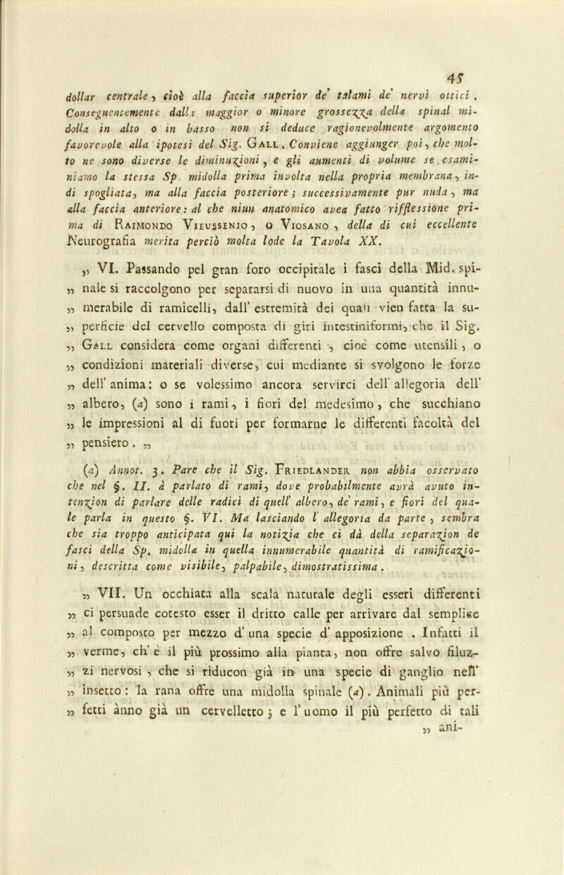 dottar centrale , cioè alla faccia superìor de’ talami de nervi ottici . Conseguentemente dalla maggior o minore grossezza della spinai mi- dolla in alto o in basso non si deduce ragionevolmente argomento favorevole alla ipotesi del Sig. G all . Conviene aggiunger poi, che mol- to ne sono diverse le diminuzioni, e gli aumenti di volume se esami- niamo la stessa Sp midolla prima involta nella propria membrana, in- di spogliata, ma alla faccia posteriore ; successivamente pur nuda, ma alla faccia anteriore: al che ni un anatomico avea fatto rifflessione pri- ma di Raimondo Vieussenio, o Viosano , della di cui eccellente Keurografia merita perciò molta lode la Tavola XX. y> VI. Passando pel gran foro occipitale i fasci della Mid. spi- v) naie si raccolgono per separarsi di nuovo in una quantità innu- „ rnerabile di ramicelli, dall’ estremità dei quali vieti fatta la su- „ perfide del cervello composta di giri intestiniformi, che il Sig. ,, Gall considera come organi differenti , cioè come utensili, o 55 condizioni materiali diverse, cui mediante si svolgono le forze ,5 dell’anima: o se volessimo ancora servirci dell'allegoria dell’ „ albero, (a) sono i rami, i fiori del medesimo, che succhiano „ le impressioni al di fuori per formarne le differenti facoltà del 5, pensiero. „ (<?) Annot. 3. Pare che il Sig. Friedlandeii non abbia osservato che nel §. II. à parlato di ramij dove probabilmente avrà avuto in- tcnzjon di parlare delle radici di quell' albero, de rami, e fiori del qua- le parla in questo §. VI. Ma lasciando l allegoria da parte , sembra che sia troppo anticipata qui la notizia che ci dà della separazion de fasci della Sp, midolla in quella innumcrabile quantità di ramificazio- ni , descritta come visibile, palpabile, dimostratissima . 5, VII. Un occhiata alla scala naturale degli esseri differenti 5, ci persuade cotesto esser il dritto calle per arrivare dal sempli«e „ al composto per mezzo d’ una specie d’ apposizione . Infatti il „ verme, eh’ è il più prossimo alla pianta, non offre salvo filuz- „ zi nervosi , che si riducon già in una specie di ganglio nell’ „ insetto : la rana offre una midolla spinale (a). Animali più per- „ fetti ànno già un cervelletto, e l’uomo il più perfetto di tali „ ani-