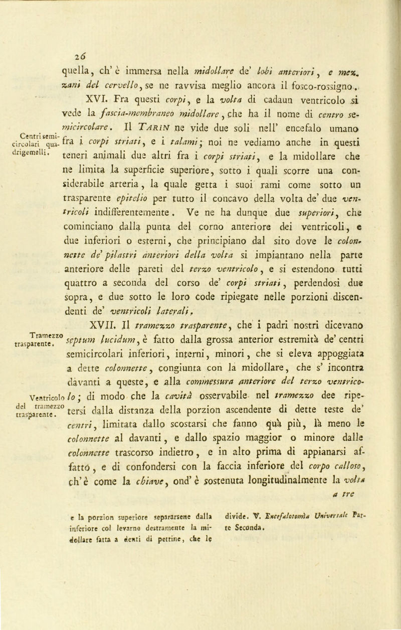 Centri semi- circolari quu- drigemelli. 2 6 quella, eh’è immersa nella midollare de’ lobi anteriori, e rnezm zani del cervello, sa ne ravvisa meglio ancora il fosco-rossigno. XVI. Fra questi corpi, e la volta di cadaun ventricolo si vede la fascia-membranco midollare, che ha il nome di centro se- micircolare . Il Tarìn ne vide due soli nell’ encefalo umano fra l corpi striati, e i talami• noi m vediamo anche in questi teneri animali due altri fra i corpi striati, e la midollare che ne limita la superficie superiore, sotto i quali scorre una con- siderabile arteria, la quale getta i suoi rami come sotto un trasparente epitelio per tutto il concavo della volta de’ due ven- trìcoli indifferentemente. Ve ne ha dunque due superiori, che cominciano dalla punta del corno anteriore dei ventricoli, e due inferiori o esterni, che principiano dal sito dove le colon- nette de’ pilastri anteriori della volta si impiantano nella parte anteriore delle pareti del terzo ventricolo, e si estendono tutti quattro a seconda del corso de’ corpi striati, perdendosi due sopra, e due sotto le loro code ripiegate nelle porzioni discen- denti de’ ventricoli laterali, XVII. Il tramezzo trasparente, che i padri nostri dicevano trasparente^20 septum lucìdum , è fatto dalla grossa anterior estremità de’centri semicircolari inferiori, interni, minori, che si eleva appoggiata a dette colonnette, congiunta con la midollare, che s’ incontra davanti a queste, e alla commessura anteriore del terzo ventrico- Ventricolo lo ; di modo che la cavità osservabile nel tramezzo dee ripe- tersi dalla distanza della porzion ascendente di dette teste de’ centri, limitata dallo scostarsi che fanno qua più, là meno le colonnette al davanti, e dallo spazio maggior o minore dalle colonnette trascorso indietro, e in alto prima di appianarsi af- fatto , e di confondersi con la faccia inferiore del corpo calloso, eh’è come la chiave, ond’ è sostenuta longitudinalmente la volta a tre del tramezzo trasparente. e la porzion superiore separarsene dalla divide. V. Encefalotorrna\ Universale Par- inferiore col levarne destramente la mi- te Seconda, dollare fatta a denti di pettine, che le