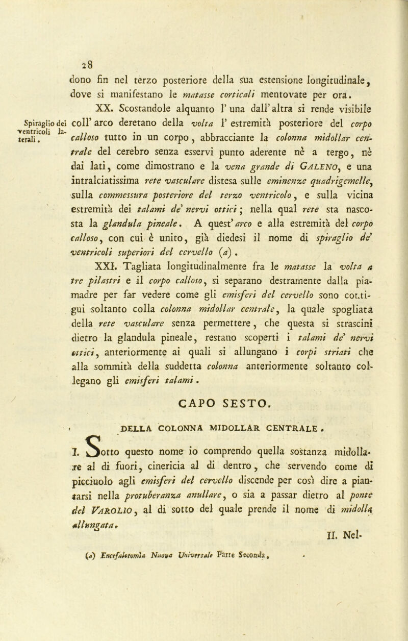 clono fin nel terzo posteriore della sua estensione longitudinale, dove si manifestano le matasse corticali mentovate per ora. XX. Scostandole alquanto 1’una dall’altra si rende visibile Spiraglio dei coll’ arco deretano della •volta 1* estremità posteriore del corpo xerali. calloso tutto in un corpo , abbracciante la colonna midollar cen- trale del cerebro senza esservi punto aderente nè a tergo, nè dai lati, come dimostrano e la vena grande di Galeno, e una intralciatissima rete vasculare distesa sulle eminenze quadrigemelle, sulla commessura posteriore del terzo ventricolo, e sulla vicina estremità dei talami de’ nervi ottici ; nella qual rete sta nasco- sta la gianduia pineale. A quest’arco e alla estremità del corpo calloso, con cui è unito, già diedesi il nome di spiraglio de’ ventricoli superiori del cervello {a) . XXI. Tagliata longitudinalmente fra le matasse la volta a tre pilastri e il corpo calloso, si separano destramente dalla pia- madre per far vedere come gli emisferi del cervello sono conti- gui soltanto colla colonna midollar centrale, la quale spogliata della rete vasculare senza permettere, che questa si strascini dietro la gianduia pineale, restano scoperti i talami dey nervi ottici, anteriormente ai quali si allungano i corpi striati che alla sommità della suddetta colonna anteriormente soltanto col- legano gli emisferi talami. CAPO SESTO. » DELLA COLONNA MIDOLLAR CENTRALE * I. Sotto questo nome io comprendo quella sostanza midolla- re al di fuori, cinericia al di dentro, che servendo come di picciuolo agli emisferi del cervello discende per cosi dire a pian- tarsi nella protuberanza anullare, o sia a passar dietro al patite del Varo Lio ) al di sotto del quale prende il nome di midolU nllhTlQfltfi r II. Nel- (*) EncefaUtorrna Nuova Universa!* Parte Seconda,