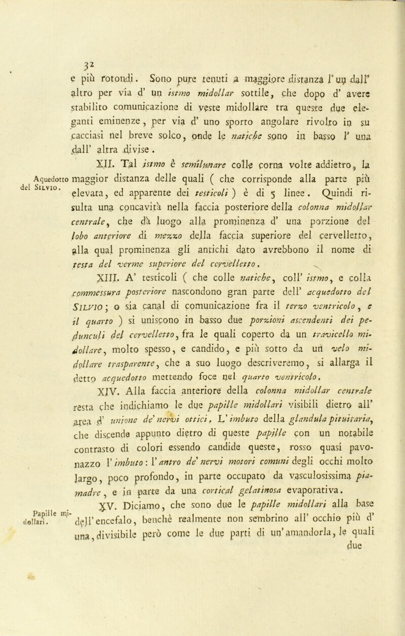 e più rotondi. Sono pure tenuti a -maggiore .distanza V ui; dall” altro per via d’ un istmo midollar sottile, che dopo d’ avere stabilito comunicazione di veste midollare tra queste due ele- ganti eminenze , per via d’ uno sporto angolare rivolto in su cacciasi nel breve solco, onde le natiche sono in basso i una .dall’ altra .divise . XII. Tal istmo è scmilunare colle corna volte addietro, la Aquedotto maggior distanza delle quali ( che corrisponde alla parte più de Silvio. gjevara? ecj apparente dei testicoli) è di 5 linee. Quindi ri- sulta una concavita nella faccia posteriore della colonna midollar centrale, che da luogo alla prominenza d’ una porzione del lobo anteriore di mezzo della faccia superiore del cervelletto, alla qual prominenza gli antichi dato avrebbono il nome di testa del verme superiore del cervelletto. XIII. A' testicoli ( che colle natiche, colf istmo, e colia .commessura posteriore nascondono gran parte dell’ acquedotto del Silvio * o sia canal di comunicazione fra il terzo ventricolo, e il quarto ) si uniscono in basso due porzioni ascendenti dei pe- dunculi del cervelletto, fra le quali coperto da un travicello mi- dollare , molto spesso, e candido, e più sotto da uri velo mi- dollare trasparente, che a suo luogo descriveremo, si allarga il detto acquedotto mettendo foce nel quarto ventricolo. XIV. Alla faccia anteriore della colonna midollar centrale resta che indichiamo le due papille midollari visibili dietro all’ area d’ unione de'nervi ottici, L’imbuto della gianduia pituitaria, che discende appunto dietro di queste papille con un notabile contrasto di colori essendo candide queste, rosso quasi pavo- nazzo l’imbuto :1’ antro de' nervi motori comuni degli occhi molto largo, poco profondo, in parte occupato da vasculosissima pia- madre , e in parte da una cortical gelatinosa e vaporati va. XV. Diciamo, che sono due le papille ?nidollari alla base dall’encefalo, benché realmente non sembrino all’ occhio più d’ una divisibile però come le due parti di un’amandorla, Je quali due Papille mi d olla ri.