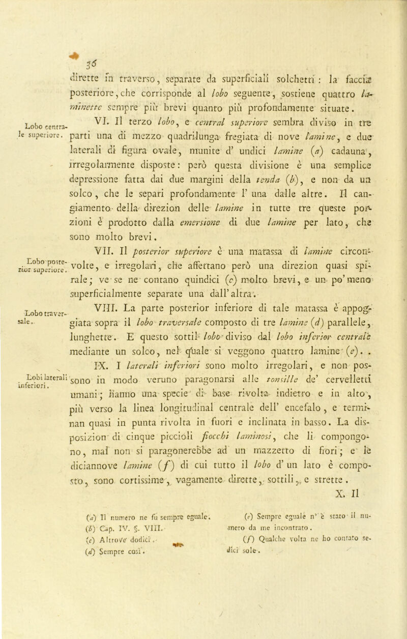 Lobo centra- le superiore. Lobo poste- rior superiore. Lobo traver- sale. Lobi laterali inferiori. & dirette ni traverso, separate da superficiali solchetn : Ja faccia posteriore, che corrisponde al lobo seguente, sostiene quattro la- m'mette sempre pii: brevi quanto più profondamente situate. VI. Il terzo loboy e centrai supcriore sembra diviso in tre parti una di mezzo quadrilunga1 fregiata di nove lamine, e due laterali di figura ovale, munite d’ undici lamine {a) cadauna, irregolarmente disposte : però questa divisione è una semplice depressione fatta dai due margini della tenda {fi), e non da un solco, che le separi profondamente 1’una dalle altre. Il can- giamento. della- direzioni delle lamine in tutte tre queste poA zioni è prodotto dalla emersione di due lamine per iato, che sono molto brevi. VII. Il postcrior superiore è una matassa di lamine circon-- volte, e irregolari, che affettano però una direzion quasi spi- rale; ve se ne contano quindici (fi) molto brevi, e un po’meno superficialmente separate una dall’altra. Vili. La parte posterior inferiore di tale matassa è appog- giata sopra il lobo traversale composto di tre laminerà) parallele, lunghette . E questo sotti! lobo ' diviso dal lobo infcrior centrale mediante un solco, nel quale si veggono quattro lamine (V). . IX. I laterali inferiori sono molto irregolari, e non pos- sono in modo veruno paragonarsi alle tonsille de’ cervelletti umani; Hanno una specie di- base rivolta indietro e in alto , più verso la linea longitudini centrale dell’ encefalo , e termi- nan quasi in punta rivolta in fuori e inclinata in basso. La dis- posizion di cinque piccioli fiocchi laminosi, che li compongo- no , mal non si paragonerebbe ad un mazzetto di fiori ; e iè diciannove lamine {fi) di cui tutto il lobo d’ un lato è compo- sto, sono cortissime , vagamente dirette, sottilie strette . X. Il (a) 11 numero ne fu sempre eguale. (è) Gip. IV. §. Vili. ■ (c) Altrov'e- dodici . (d) Sempre così. («•) Sempre eguale n’ è staro il nu- mero da me incontrato. (/) Qualche volta ne ho contato se- dici sole .