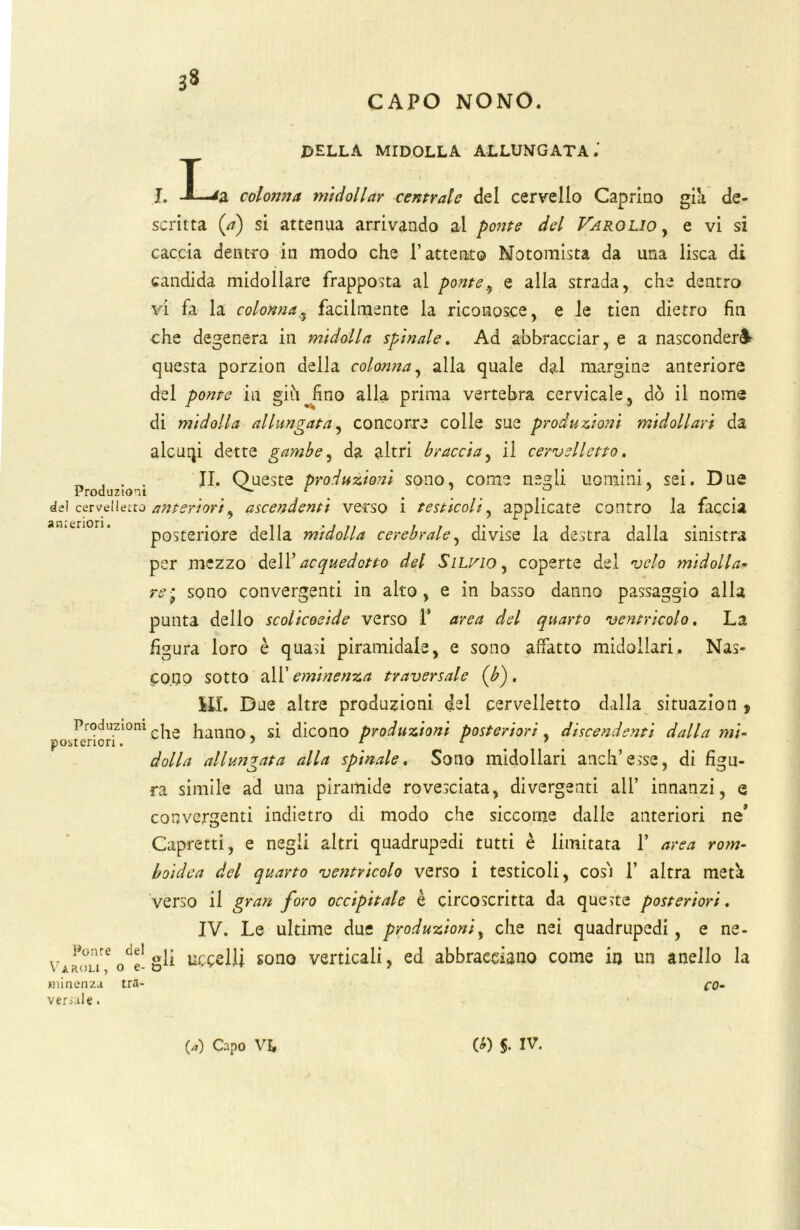 CAPO NONO. BELLA MIDOLLA ALLUNGATA.' I. I-colonna midollar centrale del cervello Caprino già de- scritta (a) si attenua arrivando ai ponte del Varolio , e vi si caccia dentro in modo che l’attento Notomista da una lisca di candida midollare frapposta al ponte,, e alla strada, che dentro vi fa la colonna, facilmente la riconosce, e le tien dietro fin che degenera in midolla spinale. Ad abbracciar, e a nasconderà questa porzion della colonna, alla quale dal margine anteriore del ponte in giù fino alla prima vertebra cervicale, dò il nome di midolla allungata, concorre colle sue produzioni midollari da alcuqi dette gambe, da altri braccia, il cervelletto. „ , . . II. Queste produzioni sono, come negli uomini, sei. Due Produzioni ^ r ' p ? del cervelletto anteriori^ ascendenti verso i testicoli, applicate contro la faccia posteriore della midolla cerebrale, divise la destra dalla sinistra per .mezzo dell’ acquedotto del Silvio , coperte del velo midolla- rei sono convergenti in alto, e in basso danno passaggio alla punta dello scolicoeìde verso F area del quarto ventricolo. La figura loro è quasi piramidale, e sono affatto midollari. Nas- cono sotto all 'eminenza traversale (7>). Sii. Due altre produzioni del cervelietto dalla situazion $ po^onl0nÌ^e hanno, si dicono produzioni posteriori, discendenti dalla mi- dolla allungata alla spinale. Sono midollari aneli’esse, di figu- ra simile ad una piramide rovesciata, divergenti all’ innanzi, e convergenti indietro di modo che siccome dalle anteriori ne’ Capretti, e negli altri quadrupedi tutti è limitata F area rom- boidea del quarto ventricolo verso i testicoli, cos'i F altra meta verso il gran foro occipitale è circoscritta da queste posteriori, IV. Le ultime due produzioni, che nei quadrupedi, e ne- Ponte dei ,• ucccy: gono verticali, ed abbracciano come in un anello la VAROLl, O e- O 1 minenza tra- qq- verìale.