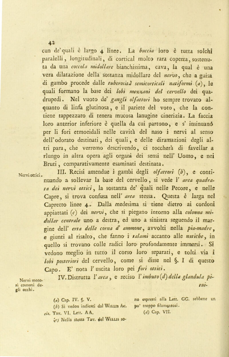 Nervi ottici Nervi moto- ri comuni de- gli occhi. 42 cun de’quali è largo 4 linee. La buccia loro è tutta solchi paralelli, longitudinali, di cortical molto rara coperta, sostenu- ta da una coccola midollare bianchissima, cava, la qual è una vera dilatazione della sostanza midollare del nervo, che a guisa di gambo procede dalle tuberosità semicorticali natiformi (a), la quali formano la base dei lobi mezzani del cervello dei qua- drupedi, Nel vuoto de’ gangli olfattori ho sempre trovato al- quanto di linfa glutinosa, e il pariete del voto, che la con- tiene tappezzato di tenera mucosa lanugine cinerizia. La faccia loro anterior inferiore è quella da cui partono, e s’ insinuane} per li fori etmoeidali nelle cavità del naso i nervi al senso dell’ odorato destinati, dei quali, e delle diramazioni degli al- tri para, che verremo descrivendo, ci toccherà di favellar a riungo in altra opera agli organi dei sensi nell’ Uomo, e nei Bruti, comparativamente esaminati destinata. III. Recisi amendue i gambi degli olfattori (0), e conti- nuando a sollevar la base del cervello , si vede 1’ area quadra- ta dei nervi ottici, la sostanza de’ quali nelle Pecore, e nelle Capre, si trova confusa nell’ area stessa. Questa è larga nel Capretto linee 4* Dalla medesima si tiene dietro ai cordoni appiattati (c) dei nervi, che si piegano intorno alla colonna mi- dollar centrale uno a destra, ed uno a sinistra seguendo il mar- gine dell’ erta delle corna d’ ammone, avvolti nella pia-madre, e giunti al risalto, che fanno i talami accanto alle natiche, in quello si trovano colle radici loro profondamente immersi. Si vedono meglio in tutto il corso loro separati, e tolti via i lobi posteriori del cervello, come si disse nel §. I di questo Capo. E’ nota F uscita loro pei fori ottici. IV. Distrutta F area 9 e reciso F imbuto (d) della gianduia pi- tui- ta) Cap. IV. §. V. no espressi alla Lett. GG. sebbene un (£) Si vedon indicati dal Wiliis toc. po’ troppo filamentosi. cit. Tav, VI. Lett. A A. 00 Cap. VII. 'Kc) Nella stessa Tav. del Wuxis so-