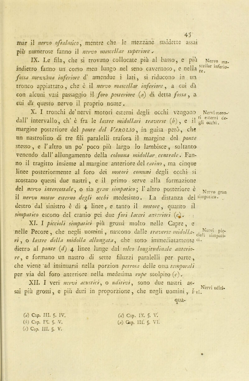 mar il nervo oftalmico, mentre che le mezzane suddette assai più numerose fanno il nervo macellar superiore IX. Le fila, che si trovano collocate più al basso, e più Nervo ma. indietro fatino un corso men lungo nel seno cavernoso, e nella ^flidr lnfeno’ fossa mezzhna inferiore d’ amendue i lati, si riducono in un tronco appiattato , che' c il nervo mascellar inferiore, a cui da con alcuni vasi passaggio il foro posteriore (V) di detta fossa, a cui da questo nervo il proprio nome. X. I tronchi de’nervi motori esterni degli occhi vengono Nervi moto-* d lo ri e tern ' d dall’ intervallo, eh’ è fra le lastre midollari traverse (Ji) , e il gij occhi*. C* margine posteriore del ponte del Varo Lio, in guisa però, che un nasfroiino di tre fili paralelli trafora il margine de-1 ponte stesso , e T altro un po’ poco più largo lo lambisce , soltanto venendo dall’allungamento delia colotma midollar centrale. Fan- no il tragitto insieme al margine’ anteriore del catino, ma cinque linee posteriormente al foro dei motori comuni degli occhi si scostano questi due nastri, e il primo serve alla formazione del nervo intercostale, o sia gran simpatico ‘ l’altro posteriore è n—vo «ran il nervo motor esterno degli occhi medesimo. La distanza del simPanco* . destro dal sinistro è di 4 linee,, e tanto il motore, quanto il simpatico escono del cranio pei due fori laceri anteriori (c^. XI. I piccioli simpatici più grossi molto nelle Capre, e nelle Pecore , che negli uomini, nascono dalle traverse midolla- . ,Nervi PIc- 5 . 7 ... C10^ simpati- ri, o lastre della midolla allungata, che sono- immediatamente ci- dietro al ponte (d) 4 linee fùnge dal solco longitudinale anterio- re , e formano un nastro di sette filuzzi paralelli per parte, che viene ‘ad insinuarsi nella porzion petrosa delle ossa temporali per via del foro anteriore nella medesima rupe scolpito {e). XII. I veri nervi acustici, o uditivi, sono due nastri as» • . 1 • • • . • * •• Nervi uditi- sai piu grossi, e piu duri m proporzione, che negli uomini, ivi. qua- (а) Cap. III. §. IV. (б) Cap. IX. §. V. (0 Cap. III. §. V. (d) Cap. IX. §. V. 00 Gap. Ili'. §. VI.