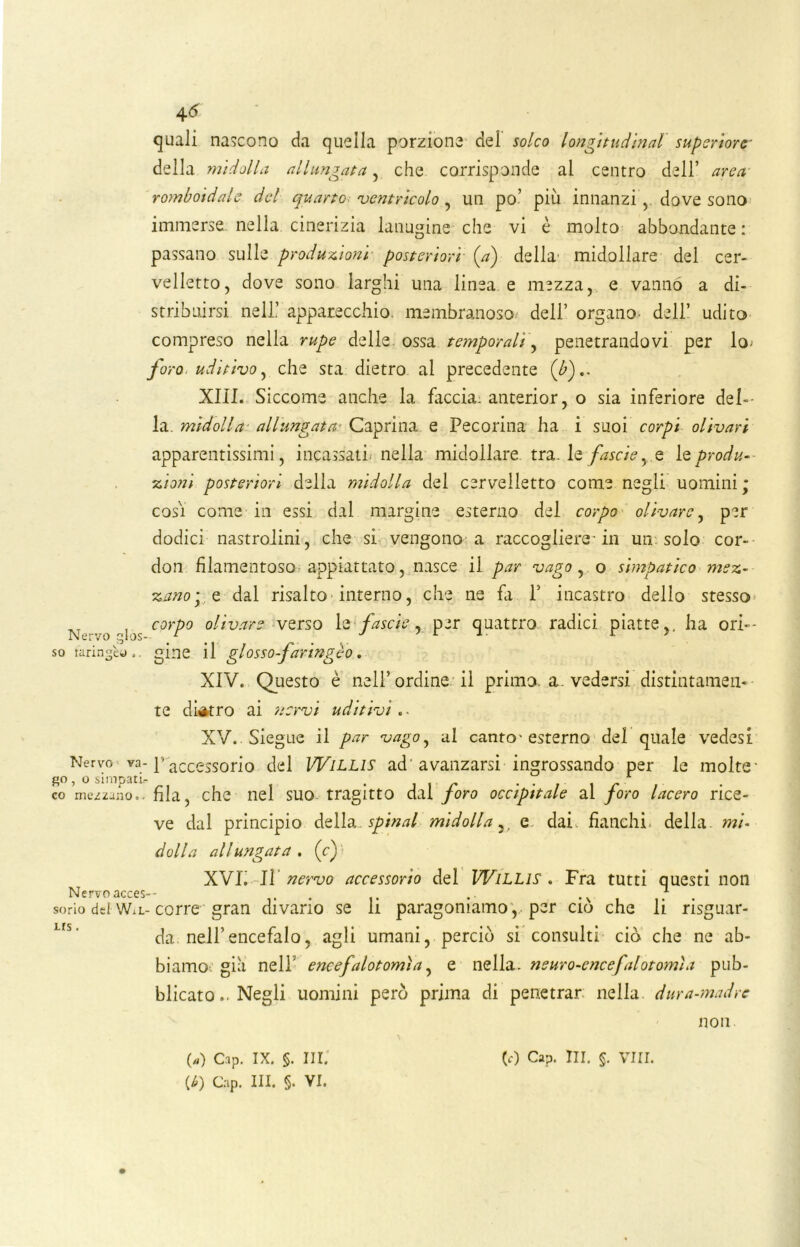 Nervo glos- so laringeo .. Nervo ; va- so , o simpati- co mezzano o. Nervo acces sorio del WiL US . 4 6 quali nascono da quella porzione del solco longitudinal superiore- della midolla allungata, che corrisponde al centro dell’ arca romboidale del quarto ventricolo , un po’ più innanzi v dove sono immerse nella cinerizia lanugine che vi è molto abbondante: passano sulle produzioni posteriori (V) della' midollare del cer- velletto, dove sono larghi una linea e mezza, e vanno a di- stribuirsi nell’ apparecchio, membranoso dell’ organo- dell’ udito compreso nella rupe delle ossa temporali, penetrandovi per lo- foro uditivo, che sta dietro al precedente (/>).. XIII. Siccome anche la faccia: anterior, o sia inferiore del- la. midolla allungata Caprina e Pecorina ha i suoi corpi olivari apparentissimi, incassati nella midollare, tra. le fascie, e le produ- zioni posteriori della midolla del cervelletto come negli uomini ; cosi come in essi dal margine esterno del corpo olivare, per dodici nastrolini, che si vengono a raccogliere-in un solo cor- don filamentoso appiattato, nasce il par vago, o simpatico mez- zano pò. dal risalto interno, che ne fa P incastro dello stesso corpo olivare verso le fascie, per quattro radici piatte,, ha ori- gine il glossofaringèo. XIV. Questo è nell’ordine il primo, a. vedersi distintamen- te dietro ai nervi uditivi .. XV. Siegue il par vago, al canto'esterno del quale vedesi Faccessorio del Willis ad'avanzarsi ingrossando per le molte- fila, che nel suo tragitto dal foro occipitale al foro lacero rice- ve dal principio della, spinai midolla,, e dai. fianchi- della, mi- dolla allungata, (c) XVI. Il nervo accessorio del Willis . Fra tutti questi non corre gran divario se li paragoniamo, per ciò che li riguar- da nell’encefalo, agli umani, perciò si consulti ciò che ne ab- biamo già nell’ enee/alotomìa, e nella, neuro-eneefalotomìa pub- blicato.. Negli uomini però prima di penetrar: nella dura-madre no u (*) Cap. IX. §. III. (c) Gap. III. §. Vili.