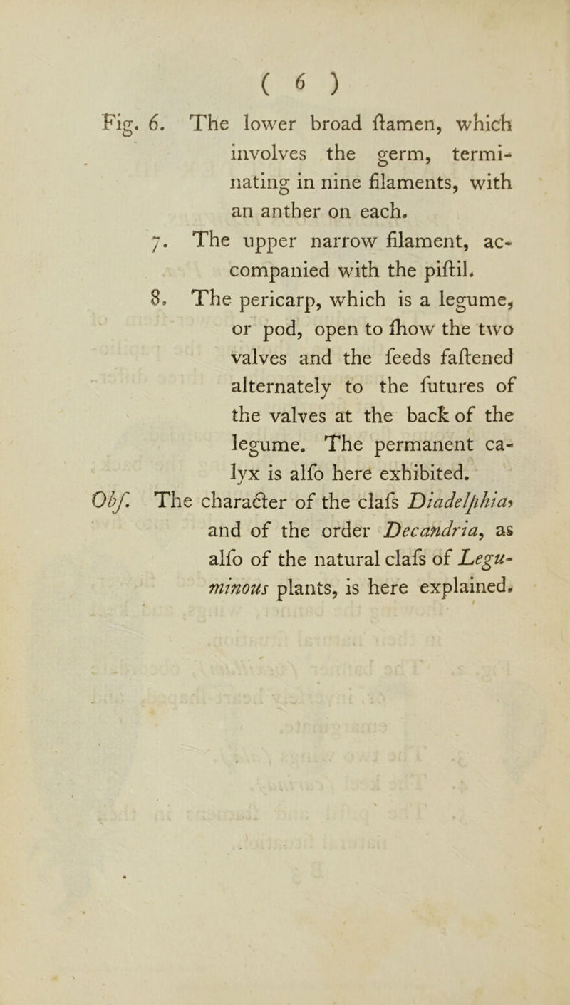 Fig. 6. The lower broad ftamen, which involves the germ, termi- nating in nine filaments, with an anther on each. y. The upper narrow filament, ac- companied with the piftil. 8, The pericarp, which is a legume, or pod, open to Ihow the two valves and the feeds faftened alternately to the futures of the valves at the back of the legume. The permanent ca- lyx is alfo here exhibited. Obf, The charafter of the clafs T)iadeljihia^ and of the order Decandria^ as alfo of the natural clafs of Legu- minous plants, is here explained.