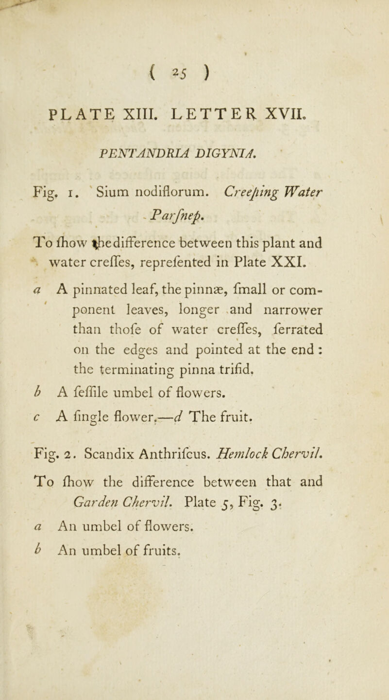 PLATE XIII. LETTER XVII. PENTANDRIA DIGYNU. Fig, I. ' Slum nodiflorum. Creeping Water ^ Parfnep, % To fhow difference between this plant and water creffes, repreftnted in Plate XXL / a A pinnated leaf, the pinnae, fmall or com- ponent leaves, longer .and narrower t ' than thofe of water creffes, ferrated \ on the edges and pointed at the end: the terminating pinna trifid, b A feffile umbel of flowers. c A Angle flower.—d The fruit. Fig, 2. Scandix Anthrifcus. Hemlock Chervil. To fliow the difference between that and Garden Chervil. Plate j. Fig. 3. a An umibel of flowers. b An umbel of fruits. r;