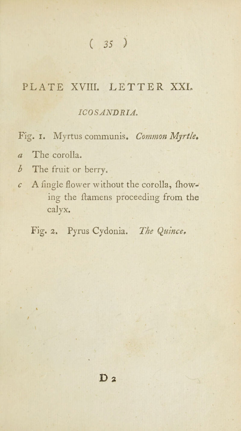 ( 35 ) PLATE XVIII. LETTER XXL ICOSANDRIA. Fig. I. Myrtus communis. Common Myrtle. a The corolla. b The fruit or berry. c A fingle flower without the corolla, {flow- ing the ftamens proceeding from the calyx. V Fig. 2. Pyrus Cydonia. The Quince. r I