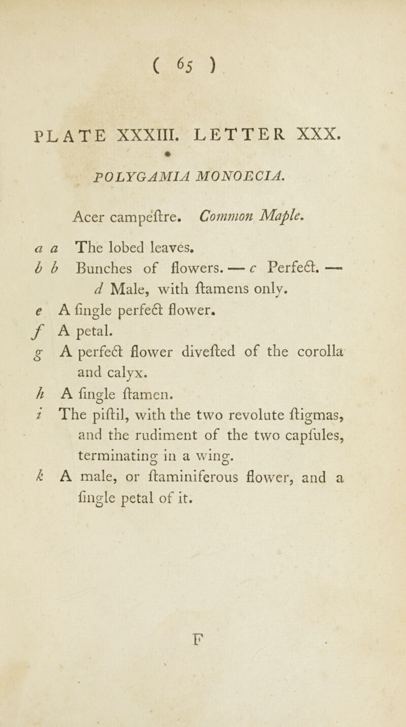 ( 65 ) PLATE XXXIII. LETTER XXX. POLYGAMIA MONOECIA. Acer campeftre. Common Maple, a a The lobed leaves. b b Bunches of flowers. — c Perfe6l. — d Male, with ftamens only. e A Angle perfeft flower. jf A petal. g A perfe6l flower divefted of the corolla' and calyx. h A Angle ftamen. / The piAil, with the two revolute ftigmas, and the rudiment of the two capfules, terminating in a win^. O C) k A male, or ftaminiferous flower, and a Angle petal of it. \