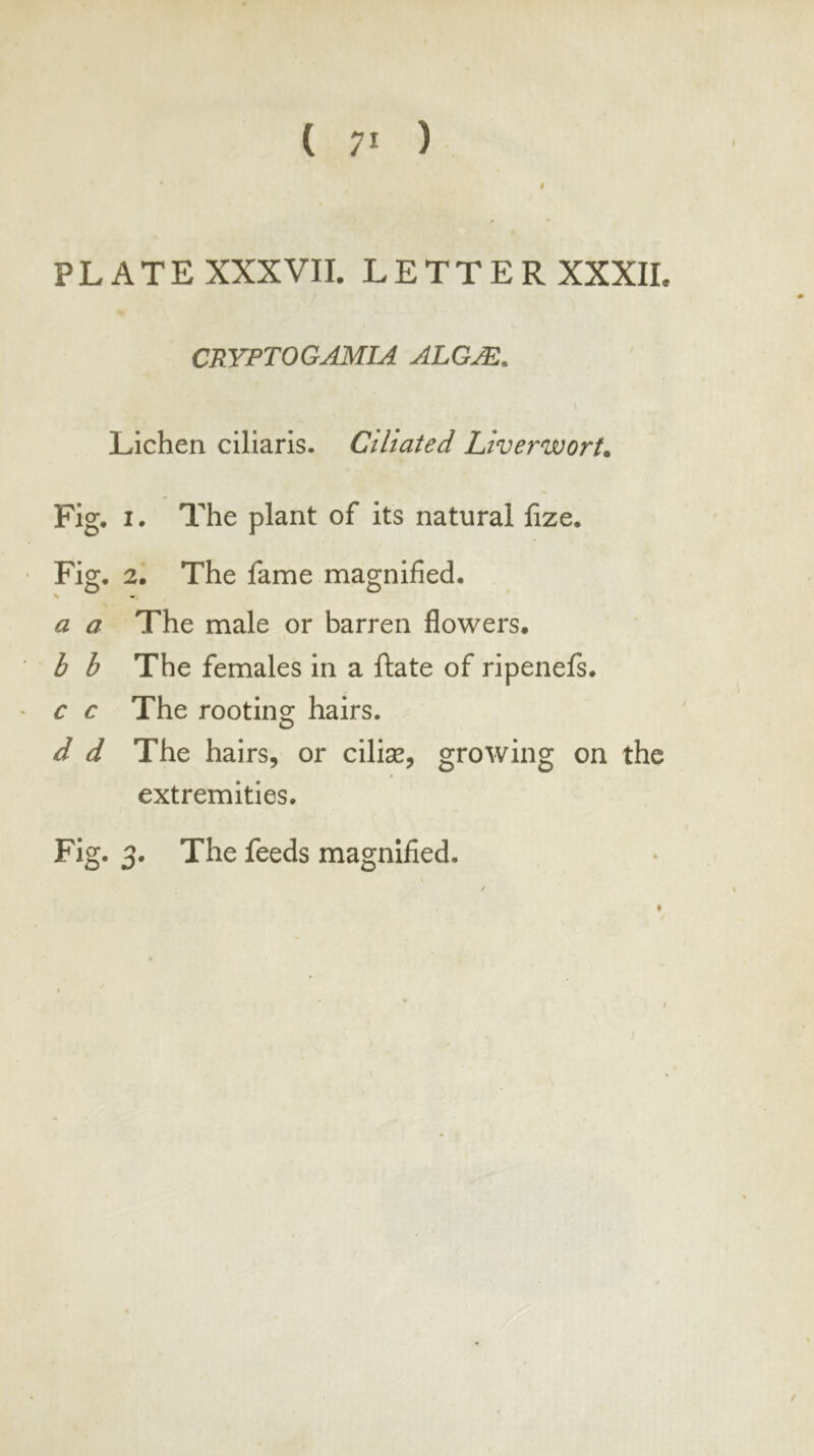 ( ;■ ) I PLATE XXXVII. LETTER XXXII. CRYPTOGAMIA ALGM. Lichen ciliaris. Ciliated Liverwort. Fig. I. The plant of its natural fize. • Fig. 2. The fame magnified. a a The male or barren flowers. ■ b b The females in a ftate of ripenefs. ' c c The rooting hairs. d d The hairs, or cilise, growing on the extremities. Fig. 3. The feeds magnified. /