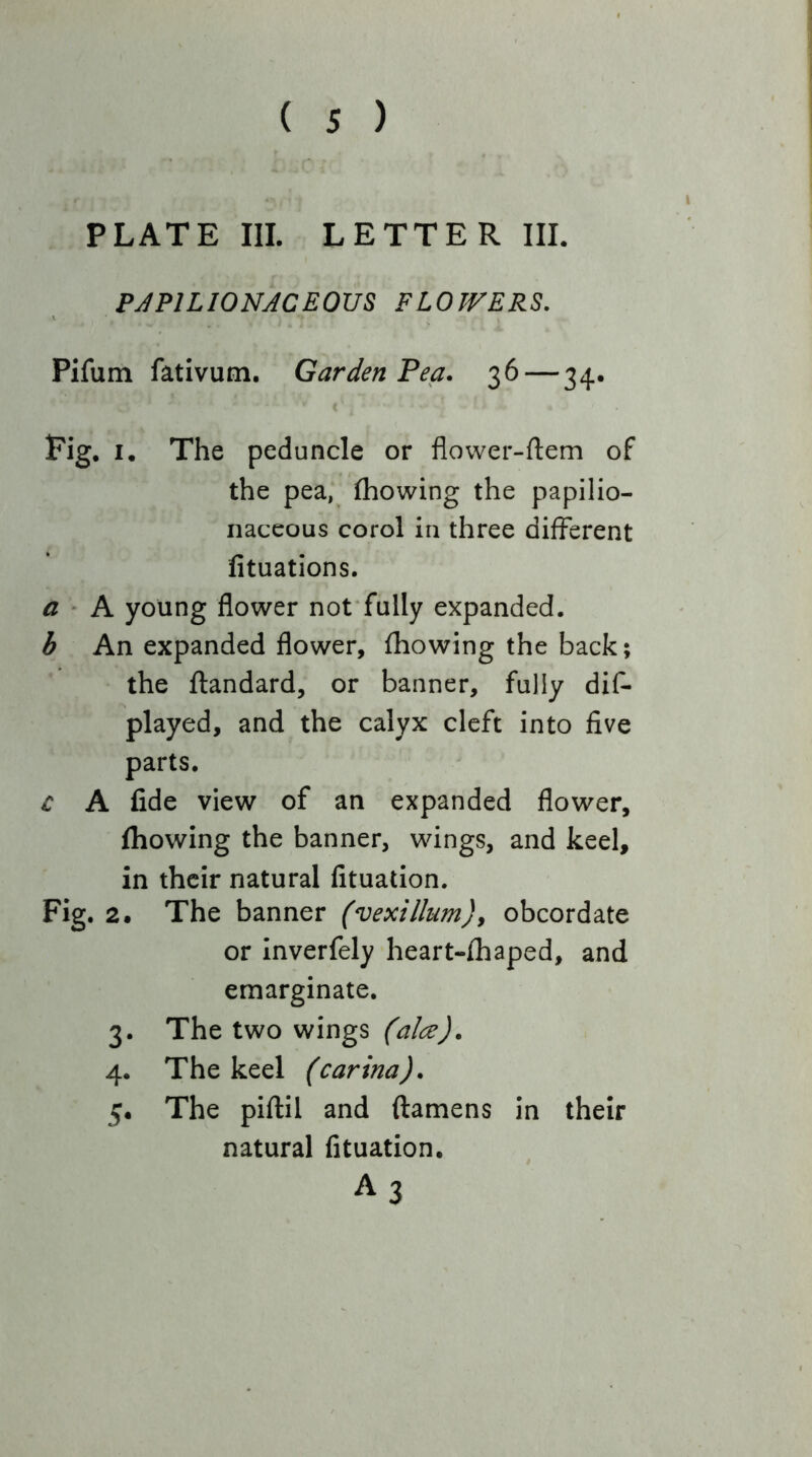 PAPILIONACEOUS FLOWERS. Pifutn fativum. Garden Fea. 36 — 34. « Fig. I. The peduncle or flower-ftem of the pea, fhowing the papilio- naceous corol in three different fituations. a ' A young flower noffully expanded. b An expanded flower, fhowing the back; the flandard, or banner, fully dif- played, and the calyx cleft into five parts. c A fide view of an expanded flower, fhowing the banner, wings, and keel, in their natural fituation. Fig. 2. The banner (vexillum), obcordate or Inverfely heart-fhaped, and emarginate. 3. The two wings (alee). 4. The keel (carina). 5. The piflil and ftamens in their natural fituation.