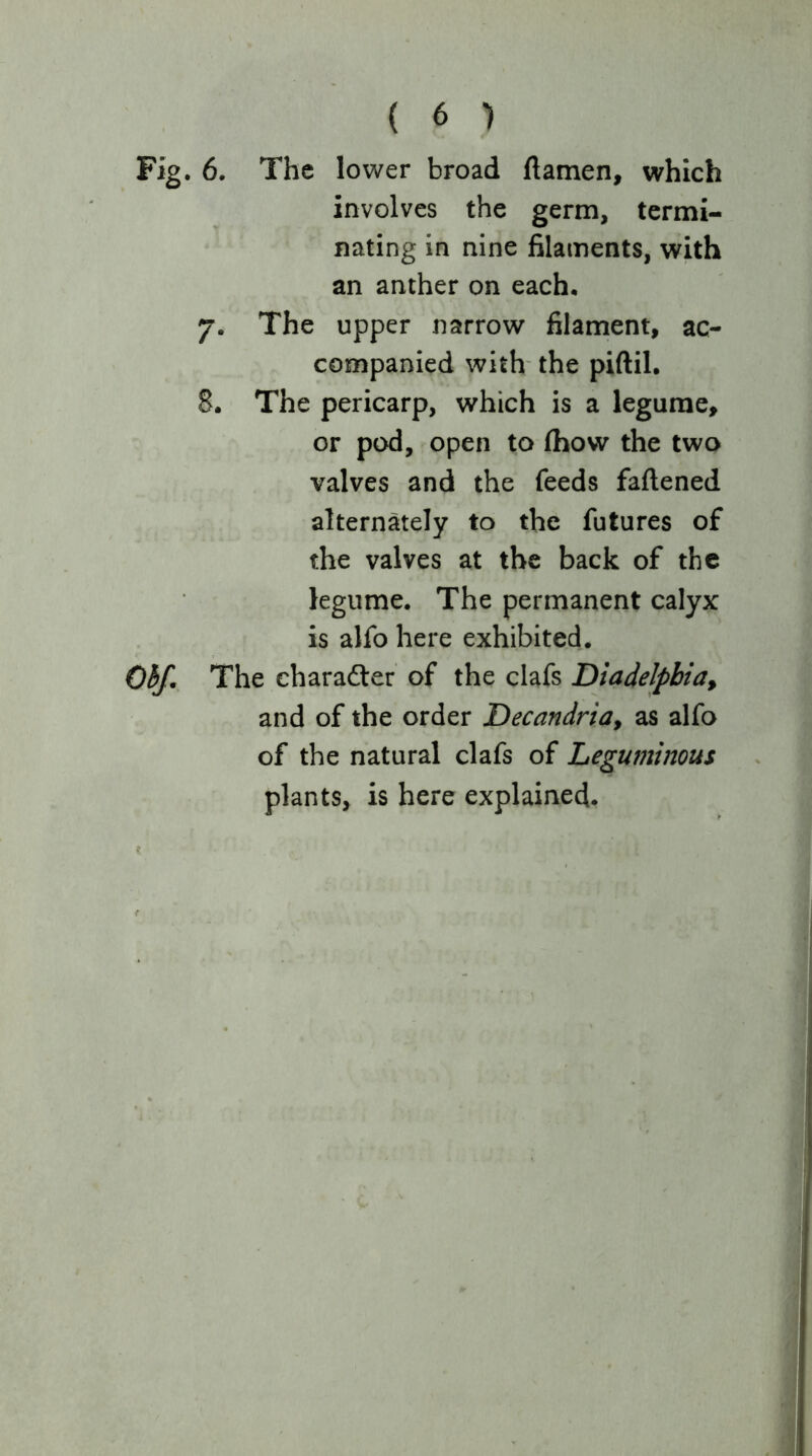 ( 6 ) 6. The lower broad ftamen, which involves the germ, termi- nating in nine filaments, with an anther on each, 7. The upper narrow filament, ac- companied with the piftil. 8. The pericarp, which is a legume, or pod, ^open to (how the two valves and the feeds fattened alternately to the futures of the valves at the back of the legume. The permanent calyx is alfo here exhibited. The charadler of the clafs Diadelpbia^ and of the order Decandria, as alfo of the natural clafs of Leguminous plants, is here explained.
