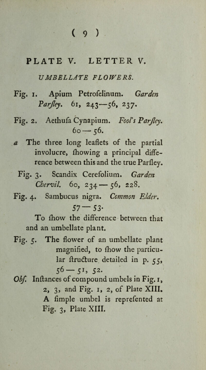 PLATE V. LETTER V. UMBELLATE FLOTVERS, Fig. I. Apium Petrofelinum. Garden Parjley. 6i, 243—56, 237. Fig. 2. Aethufa Cynapium. FooFs Parjley. 60— 56. a The three long leaflets of the partial involucre, (bowing a principal diffe- rence between this and the true Parfley. Fig. 3. Scandix Cerefolium. Garden Chervil, 60, 234— 56, 228. Fig. 4. Sambucus nigra. Common Elder, 57—53- To (how the difference between that and an umbellate plant. Fig. 5. The flower of an umbellate plant magnified, to (how the particu- lar ftrudlure^ detailed in p. 55, 56 —52- Obf, Inftances of compound umbels in Fig. i, 2, 3, and Fig. i, 2, of Plate XIIL A fimple umbel is reprefented at Fig. 3, Plate XIII.