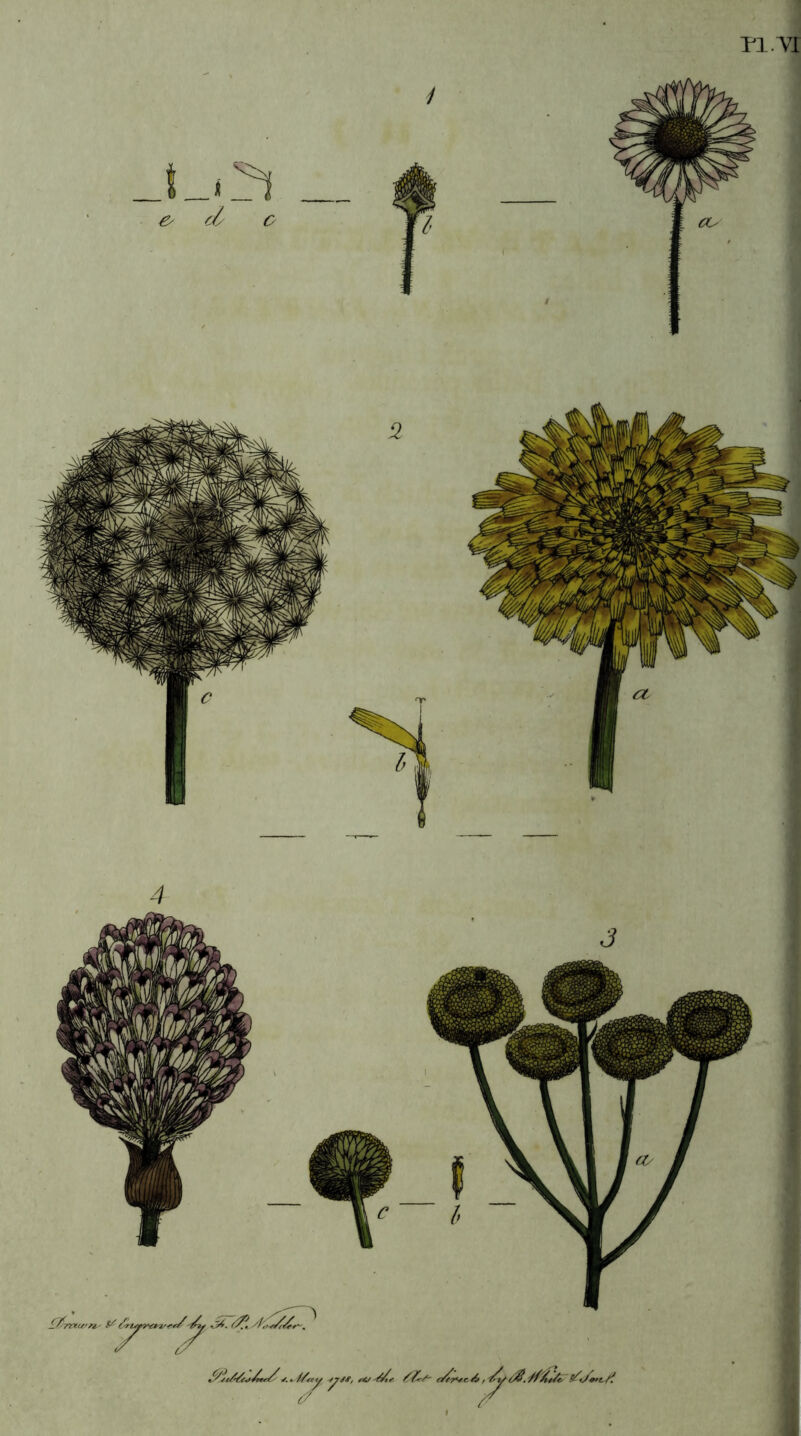 ri.Yi £7!nxu>n.^ /k>-<i^r^. __ d o