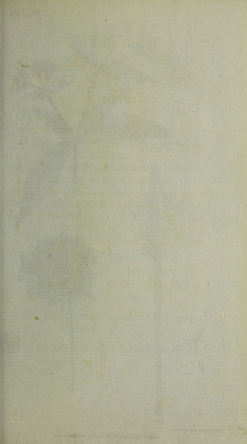 rCE ■ r • • ^ • ■■ ■ ■ ■ ..-iV ■ . ' ' ■ »*•••,;•',•,. / ' f^' •*7v<t-v^ ,., ',.■ ■.: . ■'■>'#; ^ ' . .V'••V - • I •)- V... ;,..' . . ’;;' rm^- ''■w-^ '---:t‘^' ' ■'^-r; * * ' I ‘ V ' -■■' r: .y',..-V‘V: -i' ‘ ^ ■ ' ^■': ■ ■ ■' ^ ^ ^ > ■ 4 ' ' - , ,.'... ‘ ^ • .■ *«r\;' ' ■ > N y^-':i: ■£: v/’r:- * ... ■-,. . y,. •■•--- ' ** '■.'. • -'i '• . . . •.'r*' ■' tyit.t*. -- • -.^ ■'■ : ,. it . , .. • ■ ■ V ri>^ . i ‘ - * ;;'V- .ft,:;;:^f'' '. Jy 'f' • .V'^' ■ ■ ' -I’ yX - ' ..IB' ■ - .it- ' ' ■■■ ,^'^' ■'■'%'■. ■■ '■ ' -■•'• ■ , ', ^ ■ , ■ ■ ■ ^' '• ■ tm'‘ .V < •■ ^ «.. 9