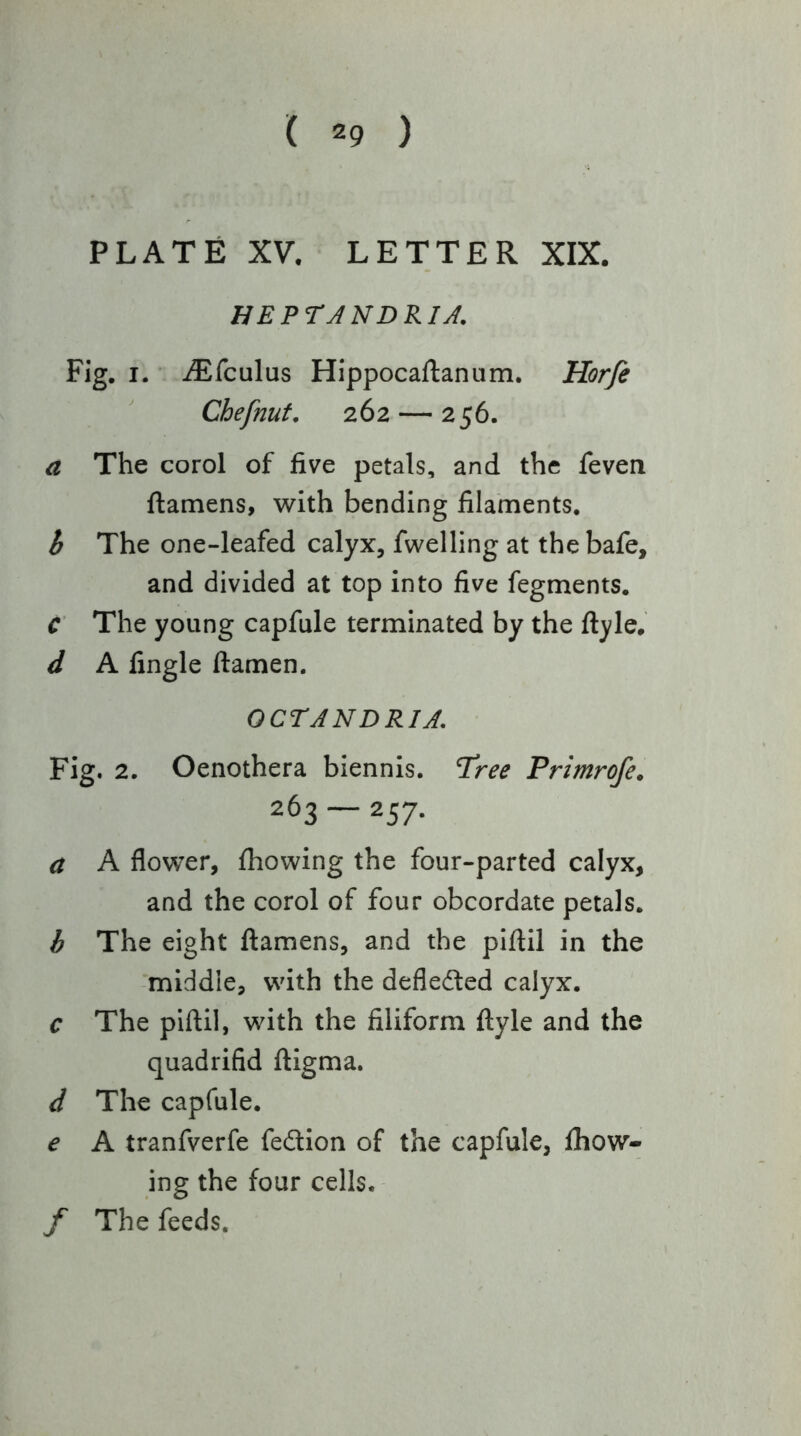 ( 29 ) PLATE XV. LETTER XIX. HEPTANDRU. Fig. I. iEfculus Hippocaftanum. Horfe Chefnut, 262 — 256. a The corol of five petals, and the feven ftamens, with bending filaments. b The one-leafed calyx, fwelling at the bafe, and divided at top into five fegments. C The young capfule terminated by the ftyle. d A Angle ftamen. OCTANDRIA. Fig. 2. Oenothera biennis. Tree Primrofe. 263 — 257. a A flower, fliowing the four-parted calyx, and the corol of four obcordate petals. h The eight ftamens, and the piftil in the -middle, with the deflected calyx. c The piftil, with the filiform ftyle and the quadrifid ftigma. d The capfule. e A tranfverfe feSion of the capfule, ftiow- ing the four cells. f The feeds.