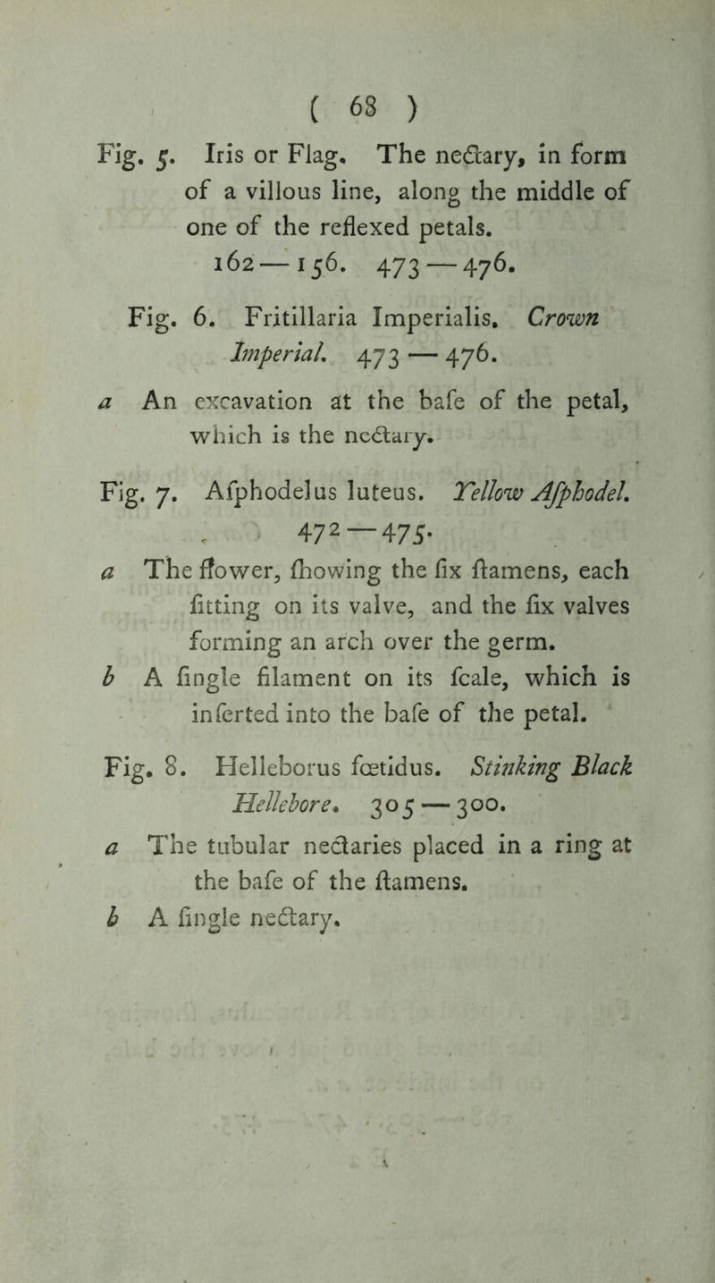 ( 68 ) Fig, 5. Iris or Flag, The nedary, in form of a villous line, along the middle of one of the reflexed petals. 162—^156. 473 — 476. Fig. 6. Fritillaria Imperialis, Crown Imperial 473 — 476. a An excavation at the bafe of the petal, which is the nedary. Fig. 7. Afphodelus luteus. Tellow Afphodel 472 — 475. a The flower, fhowing the fix ftamens, each fitting on its valve, and the fix valves forming an arch over the germ. b A fingle filament on its fcale, which is infer ted into the bafe of the petal. Fig. 8. Helleborus feetidus. Stinking Black Hellebore. 305 — 300. a The tubular nectaries placed in a ring at the bafe of the flamens. h A fingle nedtary.