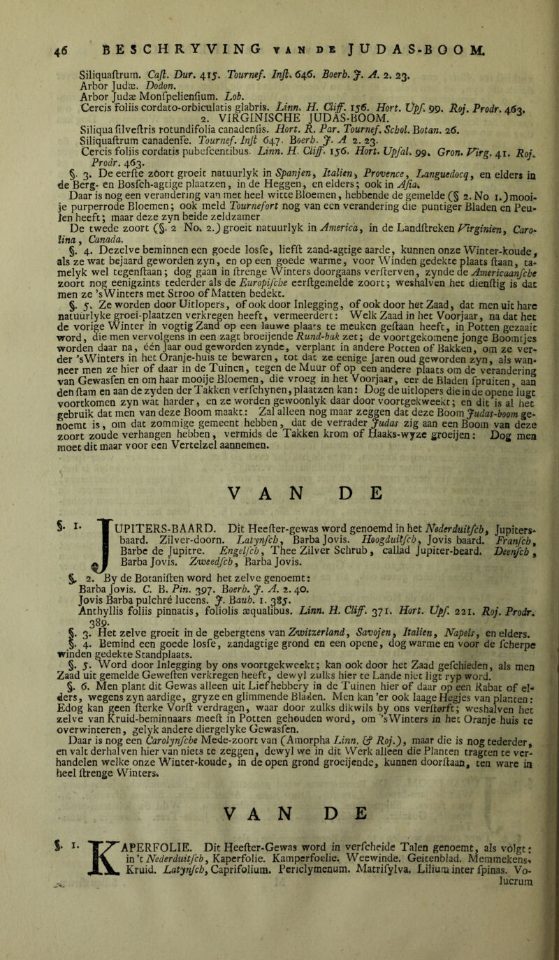 Siliquaflrum. Caji. Dur. 415. Tournef. Infi, 64.6. Boerb. J. A. 2. 23. Arbor Judaj. Dodon. Arbor Jud® Monfpelienfium. Lob. Cercis foliis cordato-orbiculatis glabris. Linn. H. Clif. 156, Hort. Üpf. 90. Roi. Prodr, d.6<x. 1. VIRGINISCHE JUDAS-BOOM. Siliquafilveflris rotundifolia canadcnfis. Hort. R. Par. Tournef. Schol. Botan. 26. Siliqiiaftrum canadenfe. Tournef. Injt 647. Boerb. J. A 2. 23. Cercis foliis cordatis pubefcencibus. Linn. H. Ciiff. 156. Hort. Upfal. 99. Gron> Hirg. 41. Rof, Prodr. 463, §. 3. Deeerfte zöort groeit natuurlyk in Spanjen y Italieny Provence, Languedocqy en elders in de Berg- en Bosfch-agcige plaatzcn, in de Heggen, en elders; ook in Afia-, Daar is nog een verandering van met heel witte Bloemen, hebbende de gemelde (§ 2. No i.^mooi- je purperrode Bloemen; ook meld Tournefort nog van een verandering die puntiger Bladen en Peu- len heeft; maar deze zyn beide zeldzamer. De twede zoort (§. 2 No. 2._) groeit natuurlyk in Americay in de LandflrekenCaro- lina, Canada. §. 4. Dezelve beminnen een goede losfe, liefft zand-agtige aarde, kunnen onze Winter-koude, als ze wat bejaard geworden zyn, en op een goede warme, voor Winden gedekte plaats ftaan, ta* melyk wel tegenftaan; dog gaan in ftrenge Winters doorgaans verfterven, zynde de Americaanfebe zoort nog eenigzints tederder als de Europifebe ccrflgemelde zoort; weshalven het dienftig is dat men ze ’s Winters met Stroo of Matten bedekt. §. 5. Ze worden door Uitlopers, of ook door Inlegging, of ook door het Zaad, dat men uit hare natuurlyke groei-plaatzen verkregen heeft, vermeerdert: Welk Zaad in het Voorjaar, na dat het de vorige Winter in vogtigZand op een lauwe plaa'-s te meuken geftaan heeft, in Potten gezaait word, die men vervolgens in een zagt broeijende Rund~bak zet; de voortgekomene jonge Boomtjes worden daar na, één jaar oud geworden zynde, verplant in andere Potten of Bakken, om ze ver- der ’sWinters in het Oranje-huis te bewaren, tot dat ze eenige Jaren oud geworden zyn, als wan- neer men ze hier of daar in de Tuinen, tegen de Muur of op een andere plaats om de verandering van Gewasfen en om haar mooije Bloemen, die vroeg in het Voorjaar, eer de Bladen fpruiten, aan dehftam en aan dezyden der Takken verfchynen, plaatzcn kan: Dog de uitlopers dieindeopene lugt voortkomen zyn wat harder, en ze worden gewoonlyk daar door voortgekweekt; en dit is al het gebruik dat men van deze Boom maakt: Zal alleen nog maar zeggen dat deze Boom Judas-boom ge- noemt is, om dat zommige gemeent hebben, dat de verrader Judas zig aan een Boom van deze zoort zoude verhangen hebben, vermids de Takken krom of Haaks-wyze groeijen: Dog men moet dit maar voor een Vcrtelzel aannemen. VAN DE S* I UPITERS-BAARD. Dit Heefter-gewas word genoemd in het Jupiters* I baard. Zilver-doorn. Latyrifcb^ Barbajovis. Hoogduitfehy Jovis baard. Franfcb, H Barbe de Jüpitre. Engelfcby Thee Zilver Schrub, callad Jupiter-beard. Heenfch y aI Barbajovis. Zoueedfeh, Barbajovis. §, 2. By de Botanifteh word het zelve genoemt: Barba Jovis. C. B. Pin. 397. Boerb. J. A. 2. 40. Jovis Barba pulchré lucens. J. Bauh. i. 385. Anthyllis foliis pinnatis, foliolis mqualibus. Linn. H. Cliff. 371. Hort. Üpf. 221. Roj. Prodr. 389. §. 3. Hetzelve groeit inde gebergtens van Zontoer/and, Savojeuy Italieny Napels, en elders. §. 4. Bemind een goede losfe, zandagtige grond en een opene, dog warme en voor de fcherpe winden gedekte Standplaats. §. 5. Word door Inlegging by ons voortgekweekt; kan ook door het Zaad gefchieden, als men Zaad uit gemelde GeweRen verkregen heeft, dewyl zulks hier te Lande niet ligt ryp word. §. 6. Men plant dit Gewas alleen uit Lief hebbery ia de Tuinen hier of daar op een Rabat of el- ders, wegens zyn aardige, gryze en glimmende Bladen. Men kan ’er ook laage Hegjes van planten: Edog kan geen Ilerkc Vorft verdragen, waar door zulks dikwils by ons verRerft; weshalven het zelve van Kruid-beminnaars meeft in Potten gehouden word, om ’sWinters in het Oranje huis te overwinteren, gelykanderediergelykeGewasfen. Daar is nog een Carolynfche Mede-zoort van (jAmorpha Linn, ö* Roj.), maar die is nog tederder, en valt derhalven hier van niets te zeggen, dewyl we in dit Werk alleen die Planten tragten te ver- handelen welke onze Winter-koude, in de open grond groeijende, kunnen dooritaan, ten ware in heel ftrenge Winters» V A N D E S* APERFOLIE. Dit Heefter-Gewas word in verfcheide Talen genoemt, als volgt: 1^ in't Nederduitfeby Kipcrfolie. Kamperfoelie. Weewinde. Geitenblad. Meramekens-* -fl V,, Kruid. LatyjiJcby Caprifolium. Periclymenum. Matrifylva. Lilium inter fpinas. Vo- lucrum