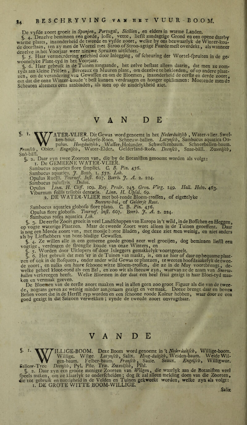 De vyfde zoort groeit in Spanjen, Portugal, Sicilien, en elders in warme Landen. §, 4. Dezelve beminnen een goede, lofle, vette, liefft zandagtige Grond en een openedaarby warme plaats, inzonderheid de tweede en vyfde zoort, welke by ons bezwaarlyk de Wiiiter-kou- de doorftaan, ten zy men de Wortel met Stroo ofStroo-agtige Paardemcft overdekt, als wanneer dezelve in het Voorjaar weer nieuwe Spruiten uitfehiet. §. 5. Haar vermeerdering gelchied door Inlegging, of fcheuring der Wortel-fpruiten in de ge- woonelyke Plant-tyd in het Voorjaar. §. 6. Haar gebruik in de Tuinen aangaande, het zelve beftaat alleen daarin, dat men zezom- tyds aan kleine Priëlen , Berceaus en Muuren plant, om dezelve te bekleeden, of op andere plaat- zen, om de verandering van Gewaflen en om de Bloemen, inzonderheid de eerfte en derde zoort, oin dat die onze Winter-koude ’t beft kunnen verdraagen en hooger opklimmen: Moetende men de Scheuten alcemets eens aanbinden, als men op de zindelykheid ziet. \ \ I VAN DE- i* WT/^ATER-VLIER. Dit Gewas wordgenoemt in het Nederduitfeh , Water-vlier. Swel- VlW ken-hout. Gelderfe-Roos. Schneuw-ballen. Latynfcb, Sambucus aquatica Oo- ▼ Y pulus. Hoogduitfeh, Wafter-Holunder. Schwelkenbaum. Schnecballen-baum. Franfch, Obier. Engelfcb, Water-Elder. Gelderland-Rofe. Deenfcb, Snae-ball. Zweedfeb, Sno-ball. 2. Daar zvn twee Zoorten van, die by de Botaniften genoemt worden als volgt: I. De GEMEENE WATER-VLIER. Sambucus aquatica flore fimplici. C. B. Pin. 45Ö. Sambucus aquatica. J. Baub. i. 552. Lob. Opulus Ruelli. Tournef. Infi. 607. Boerb. J. A. 2. 224. Sambucus paluftris. Dodon. Opulus Linn. H. Cliff. 109. Roy. Prodr. 243. Gron. Virg. 149. Hall. Helv. 453. Viburnum foliis trilobis dentatis. Linn. H. Upfal. 69. ,2. DE WATER-VLIER met bol-ronde Bloem-troflen, of eigentlyke Sneeuw-hal, of Gelderj'e Roos. Sambucus aquatica globofb flore plano. C. B. Pin. 450. Opulus flore globofo. Tournef. Infi. 607. Boerb. J. A. 2. 224. Sambucus rofea aquatica Lob. §. 3. De eerfte Zoort groeit in veel Landfehappen van Europa in’t wild, indeBoflehen en Heggen, op vogte waterige Plaatzen. Maar de tweede Zoort wort alleen in de Tuinen geoeffent. Daar is nog een Meede zoort van, met mooije bonte Bladen, dog deze ziet men weinig, en niet anders als by Liefhebbers van bont-bladige Gewaflen. §. 4. Ze willen alle in een gemeene goede grond zeer wel groeijen, dog beminnen liefft een vogtige, verdragen de ftrengfte koude van onze Winters, en §. 5. Worden door Uitlopers of door Inleggers gemakkelyk voortgeceelt. §. 6. Het gebruik dat men ’er in de Tuinen van maakt, is,* om ze hier of daar op bcquame plaat- zen of ook in de Bofquets, onder ander wild Gewas te plaatzen, te weeten hoofdzaakelyk de twee- de zoort, en zulks om haare fchoonewitte Bloem-troflen, die ze in de May voortbfengt, de- welke geheel kloot-rond als een Bal, en zoo wit als fneeuw zyn, waarvan ze de naam van Sneew- ballen verkreegen heeft. Welke Bloemen in der daat een heel fraai gezigt in haar Bloei-tyd raaa- ken en vermaak geeven. De Bloemen van de eerfte zoort maaken wel in allen geen zoo groot Figuur als die van de twee- de, nogtans geven ze weinig minder aangenaam gezigt en vermaak. Deeze brengt daar en bovea Befien voort die in de Herfft ryp worden en een ichoone roode Koleur hebben, waar door ze een goed gezigt in dat Saizoen verwekken ; zynde de tweede zoort onvrugtbaar. V A N D E W §. I. WT’T’ILLIGE-BOOM. Deze Boom word genoemt in't. Nederduitfeb, Willige-boom. Willige. Wilge. Latynfcb, Salix. Hoog-duitjeb, Weiden-haom. Weide Wil- gen-baum. Felber-baum. Franfcb, Sauic. Seaux. Engelfcb, Willigwor. Saliow-Tree Deenfcb, Pyl. Pile. Tne. Znxeedfeh, Pihl. §. 2. Daar zyn een groote menigte Zoorten van Wilgen, die waarlyk aan de Botaniften veel fpecls maken, dm ze klaarlyk te oiiderfcheiden; dog ik zal alleen melding doen van die Zoorten, die tot gebruik en nuttigheid in de Velden en Tuinen gekweekt worden, welke zyn als volgt: I. DE GROTE WITTE BOOM-WILLIGE. Salix