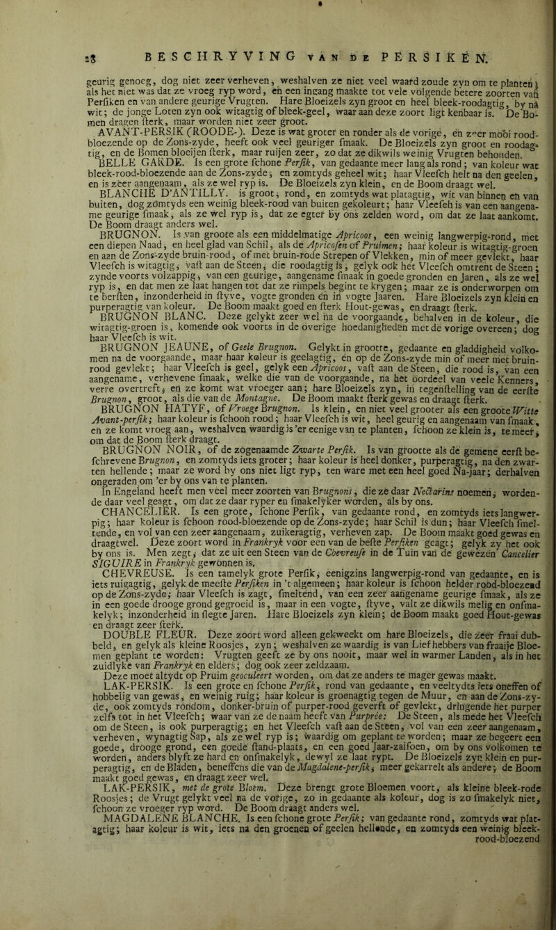 geurig genoeg, dog niet zeer verheven, weshalven ze niet veel waard zoude zyn om te planten \ als het niet was dat ze vroeg ryp word, en een innang maakte tot vele volgende betere zoorten vafi Perfiken en van andere geurige Vrugten. Hare Bloeizels zyn groot en heel bleek-roodagtig, by na wit; de jonge Loten zyn ook witagtig of bleek-geel, waar aan deze zoort ligt kenbaar is. öDe'Bo- men dragen fterk, maar worden niet zeer groot. AVANT-PERSIK (ROODE-). Deze is wat groter en ronder als de vórige, en z^er mooi rood- bloezende op deZons-zyde, heeft ook veel geuriger fmaak. De Bloeizels zyn groot en roodag- tig, en de Bomen bloeijen fterk, maar ruijen zeer, zo dat ze dikwils weinig Vrugten behouden. BELLE GARDE. Is een grote fchone Per fik, van gedaante meer lang als rond ; van koleur wat bleek-rood-bloezende aan de Zons-zyde, en zomtyds geheel wit; haar Vleefch helt na den geelen en is zeer aangenaam , als ze wel ryp is. De Bloeizels zyn klein, en de Boom draagt wel. BLANCHE D’ANTILLY. is groot * rond, en zomtyds wat platagtig, wit van binnen en van buiten, dog zomtyds een weinig bleek-rood van buiten gekoleurt; haar Vleefch is van een aangena- me geurige fmaak, als ze wel ryp is, dat ze egter by ons zelden word, om dat ze laat aankomt. De Boom draagt anders wel. BRUGNON. Is .van groote als een middelmatige Apricoos, een weinig langwerpig-rortd, met een diepen Naad, en heel glad van Schil, als de Apricofsn of Pruimen; haar koleur is witagtig-groen en aan de Zons-zyde bruinrood, of met bruin-rode Strepen of Vlekken, min of meer gevlekt, haar Vleefch is witagtig j valt aan de Steen, die roodagtigis, gclyk oök het Vleefch omtrent de Steen; zynde voorts volzappig, van een geurige, aangename fmaak in goede gronden enjaren, als ze wel ryp is, en dat men ze laat hangen tot dat ze rimpels begint te krygen; maar ze is onderworpen om tê berften, inzonderheid in fty.ve, vogte gronden en in vogte Jaaren. Hare Bloeizels zyn kiein en purperagtig van koleur. De Boom maakt goed en fterk Hout-gewas, en draagt fterk. BRUGNON BLANC. Deze gelykt zeer wel ha de voorgaande, behalven in de koleur, die witagtig-groen is, komende ook voorts in de overige hoedanigheden met de vorige overeen- do» haar Vleefch is wit. ö BRUGNON JEAUNE, of Geele Brugnon. Gelykt in grootte, gedaante en gladdigheid volko- men na de voorgaande, maar haar koleur is geelagtig, én Op de Zons-zyde min of meer niet bruin- rood gevlekt; haar Vleefch is geel, gelyk een Apricoos, valt aan deSteen, die rood is, van een aangename, verhevene fmaak, welke die van de voorgaande, na het oordeel van veeleKenners verre overtreft $ en ze komt wat vroeger aan; hare Bloeizels zyn, in tegenflelling van de eerfte Brugnon, groot, als die van de Montagne. De Boom maakt fterk gewas en draagt fterk. BRUGNON LIATYF, of Vroege Brugnon. Is klein, en niet veel grooter als een groote Witte Avant-perfik; haar koleur is fchoon rood; haar Vleefch is wit, heel geurig en aangenaam van fmaak, en ze komt vroeg aan, weshalven waardig is ’er eenigevan te planten, fchoon ze klein is, temeer] om dat de Boom fterk draagt. BRUGNON NOIR, of de zogenaamde Zwarte Perfik. Is van grootte als de gemene eerft be- fchrevene Brugnon, en zomtyds iets groter; haar koleur is heel donker, purperagtig, na den zwar- ten hellende ; maar ze word by ons niet ligt ryp, ten ware met een heel goed Na-jaar; derhalven ongeraden om ’er by ons van te planten. in Engeland heeft men veei meer zoorten van Brugnoris, die zé daar Nectarine noemen * worden- de daar veel geagt, om dat ze daar ryper en fmakelyker worden, als by ons. CHANCËLIER. Is een grote, fchone Perfik’, van gedaante rond, en zomtyds iets langwer- pig; haar koleur is fchoon rood-bloezende op de Zons-zyde; haar Schil is dun; haar Vleefch fmel- tende, en vol van een zeer aangenaam, zuikeragtig, verheven zap. De Boom maakt goed gewas en draagtwél. Deze zoort word in Frankryk voor een van de befte Perfiken geagt; gelyk zv het ook by ons is. Men zegt* dat ze uit een Steen van de Cbevreufe in de Tuin van de gewezén’ Cancelier SIGUIRE in Frankryk gewonnen is. CHEVREUSE. Is een tamelyk grote Perfik, eenigzins langwerpig-rond van gedaante, en is iets ruigagtig, gelyk de meefte Perfiken in’t algemeen; haar koleur is fchoon helder rood-bloezead op de Zons-zyde,- haar Vleefch is zagt, fmeitend, van een zeer' aangename geurige fmaak, als ze in een goede’drooge grond gegroeid is, maar in een vogte, ftyve, valt ze dikwils melig en onfma- kelyk; inzonderheid in flegte Jaren, Hare Bloeizels zyn klein; de Boom maakt goed Hout-gewas en draagt zeer fterk. DOUBLÉ FLEUR. Deze zoort word alleen gekweekt om hare Bloeizels, die zeer fraai dub- bcld, en gelyk als kleine Roosjes, zyn; weshalven ze waardig is van Liefhebbers vanfraaije Bloe- men geplant te worden: Vrugten geeft ze by ons nooit, maar wel in warmer Landen, als in het zuidlyke van Frankryk en elders; dog ook zeer zeldzaam. Deze moet altydt op Pruim geoculeert worden, om dat ze anders te mager gewas maakt. LAK-PERSIK. Is een grote en fchone Perfik, rond van gedaante, en veeltydts iets oneffen of hobbelig van gewas, en weinig ruig; haar koleur is groenagtig tegen de Muur, en aan de Zons-zy- de, ook zomtyds rondom, donker-bruin of purper-rood geverft of gevlekt, dringende het purper zelfs tot in het Vleefch; waar van ze de naam heeft van Purprée: De Steen, als mede het Vleefch om deSteen, is ook purperagtig; en het Vleefch vaft aan de Steen, vol van een zeer aangenaam, verheven, wynagtigSap, als ze wel ryp is; waardig om geplant te worden; maar ze begeert een goede, drooge grond, een goede ftand-plaats, en een goed Jaar-zaifocn, om by ons volkomen te worden, anders blyft ze hard en onfmakelyk, dewyl ze laat rypt. De Bloeizels zyn klein en pur- peragtig, en de Bladen, beneffens die van de Magdalene-perfiki meer gekarrelt als andere; de Boom maakt goed gewas, en draagt zeer Wél. LAK-PERSIK, met de grote Bloem. Deze brengt grote Bloemen voort, als kleine blcek-rode Roosjes; de Vrugt gelykt veel na de vorige, zo in gedaante als koleur, dog is zo fmakelyk niet, fchoon ze vroeger ryp word. De Boom draagt anders wel. MAGDALENE BLANCHE. Is een fchone grote Perfik; van gedaante rond, zomtyds wat plat- agtig; haar koleur is wit, iets na den groenen of geelen hellende, en zomtyds een weinig bleek- rood-bloezend