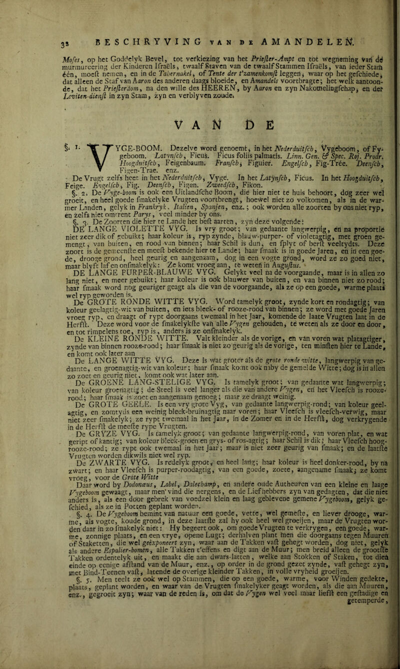 3* Mofes, op het Goddelyk Bevel, tot verkiezing van het Priejler-Ampt en tot wegneming Van dé murmureering der Kinderen Ifraëls, twaalf Staven van de twaalf Stammen Ifraëls, van ieder Stard één, moeft nemen, en inde Tabernakel, of Tente der t'zamenkomfl \e ggen, waarop het gefchiede, dat alleen dc Staf van Aaron des anderen daags bloeide, en Amandels voortbragte; het welk aantoon- de, dat het Pr iefier dom, na den wille desHEEREN, by Aaron en zyn Nakomelingfchap, en def Lcviten-dienjl in zyn Stam, zyn en verblyven zoude. VAN DE §• I; *ÏT 7 YGE-BOOM. Dezelve word genoemt, in het Neder duitfeh, Vygeboom, of Fy- geboom. Latvnfcb, FieuL Ficus foliis palmads. Linn. Gen. 6? Spec. Roj. Prodr. \J Hoogduitfeb, Feigenbaum. Tranfch , Figuief. Engelfch, Fig-Trée. Deenfcb, ▼ Figen-Trae. enz. DeVrugt zelfs heet in het Nederdiiitfch, Vygé. In het Latynfcb, Ficus. In het Hoogduitfcb, Feige. Éngelfcb, Fig. Deenfcb, Figen. Zweedfcb, Fikon. §. 2. De Vyge-boom is ook een Uidandfche Boom, die hier niet te huis behóórt, dog zeer wel groeit, en heel goede fmakelyke Vrugten voortbrengt, hoewel nietzö volkomen, als in de war- mer Landen, gelyk in Frankryk, Italien, Spanjen, enz.; ook worden alle zoorten by onsniet ryp, en zelfs niet omtrent Parys, veel minder by ons. §. 3. De Zoorten die hier te Lande het beft aarten, zyn dezé volgendei DE LANGE VIOLETTE VYG. Is vry groot; van gedaante langwerpig, ért na proportie niet zeer dik of gebuikt; haarkoleur is, rypzynde, blauw-purper- of violetagtig, met groen ge- mengt, van buiten, en rood van binnen; haar Schil is dun, en fplyt of berft veeltydts. Deze zoort is de gcmcenfte en meeft bekende hier te Lande; haar fmaak is in goede Jaren, en in een goe- de, drooge grond, heel geurig en aangenaam, dog in een vogte grond, word ze zo goed niet, maar blyfe laf en onfmakelyk: Ze komt vroeg aan, te weteri in Auguftus. ■ DE LANGE PURPER-BLAUWE VYG. Gelykt veel na de voorgaande, maar is in aften zo lang niet, en meer gebuikt; haar koleur is oök blauwer van buiten, en van binnen niet zo rood; haar fmaak word nóg geuriger geagt als die van de voorgaande, als ze op een goede, warme plaats wel ryp geworden is. De GROTE RONDE WITTE VYG. Word tamelyk groot, zynde kort en rondagtig; van koleur geelagtig-wit van buiten, en iets bleek-of rooze-rood van binnen; ze word met goede Jaren vroeg ryp, 'endraagt of rypt doorgaans twemaal in het Jaar, komende de laate Vrugten laat in de Herfft. ’ Deze word voor de fmakelykfte van oWeVygcn gehouden, te weten als ze door en door, en tot rimpelens toe, ryp is, anders is ze onfmakelyk. De KLEINE RONDE WITTE. Valt kleinder als de vorige, en van voren wat platagtlger, zynde van binnen rooze-rood; haar fmaak is niet zo geurig als de vorige, ten minften hier te Lande, en komt ook later aan De LANGE WITTE VYG. Deze is \Vat gföter als dc grote ronde witte, langwerpig van ge- daante, en groenagtig-wit van koleur; haar fmaak komt ook naby de gemelde Witte; dog is in allen zo zoet en geurig niet, komt ook wat later aan. De GROENE LANG-STELIGE VYG. Is tamelyk groot; van gedaante wat langwerpig; van koleur groenagtig ; de Steel is veel langer als die van andere Vygen, eri het Vleefch is rooze- rood; haar fmaak is zoet en aangenaam genoeg; maar ze draagt weinig. Dc GROTE GEELE. Is een vry grote Vyg, van gedaante langwerpig-rond; van koleur geel- agtig, en zomtyds een weinig bleek-bruinagtig naar voren; haar Vleefch is vleefch-verwig, maar niet zeer fmakelyk; ze rypt twemaal in het Jaar, in dc Zomer en in de Herfft, dog verkrygende in de Herfft de meefte rype Vrugten. Dc GRYZE VYG. Ts tamelyk groot; van gedaante langwerpig-rond, van voren plat, en wat geript of kantig; van koleur bleek-groen en grys- of ros-agtig; haar Schil is dik; haar Vleefch hoog- rooze-rood; ze rypt ook twemaal in het Jaar ; maar is niet zeer geurig van fmaak; en de laatfte Vrugten worden d’ikwils niet wel ryp. De ZWARTE VYG. Is redelyk groöt, en heel laiig; haaf koleur is heel donker-rood, by na zwart; en haar Vleefch is purper-roodagtig, van een goede, zoete, aangename fmaak; ze komt vroeg, voor de Grote Witte Daar word by Dodonceus, Lobel, Dalechamp, en andere oiide Autheuren van een kleine en laage Vygeboom gewaagt, maar men’vind die nergens, en de Liefhebbers zyn van gedagten, dat die niet anders is, als een door gebrek van voedzel klein en laag geblcveoe gemene Vygeboom, gelyk ge- fchied, als ze in Potten geplant worden. §. 4. De Vygeboom bemint van natuur een goede, vette, wel gemefte, en liever drooge, war- me, als vogte, koude grond, in deze laatfte zal hyoolc heel wel groeijen, maar de Vrugten wor- den daar in zo fmakelyk niet: Hy begeert ook, om goede Vrugten te verkrygen, een goede, war- me, zonnige plaats, eneenvrye, openeLugt; derhalven plant inen die doorgaans tegen Muuren of Staketten, die wel geëxponeert zyn, waar aan de Takken vaft gehegt worden, dog niet, gelyk als andere Espalier-bomen, alle Takken t’eftens en digt aan de Muur; men breid alleen degrootfte 'Lakken ordentelyk uit, en maakt die aan dwars-latten, welke aan Stokken of Staken, tot dien einde op eenige afftand van de Muur, enz., op order in de grond gezet zynde, vaft gehegt zyn, met Bind-Teènen vaft, latende de overige kleinder Takken, in volle vryheid groeijen. §. 5. Men teelt ze ook wel op Stammen, die op een goede, warme, voor Winden gedekte, plaats, geplant worden, en waarvan de Vrugten fmakelyker geagt worden, als die aan Muuren, enz. , gegroeit zyn; waar van de reden is, om dat de Vygen wel veel maar liefft een geftadige en getemperde,