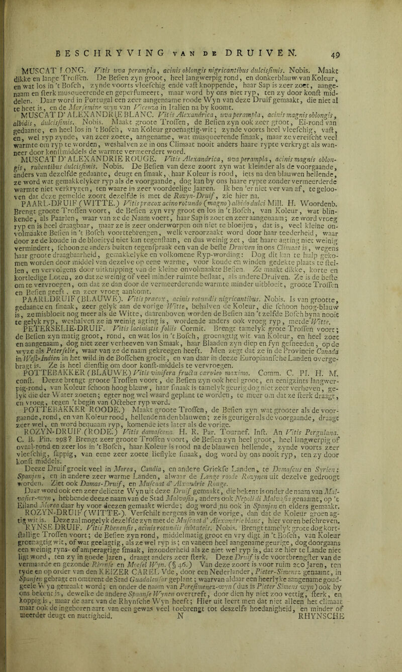 MUSCAT LONG. Vitis uva peram.pla, acinis oblongis nigricaniibus dulcisfimis. Nobis. Maakt dikke'en lange Trollen. De Bellen zyn groot, heel langwerpig rond, en donkerblauw- van Koleur, en wat los in’t Bofch, zynde voorts vleefchig ende valt knoppende, haar Sap is zeer zoet, aange- naam en fterk musqueerende en gepeffumeert, maar word by ons niet ryp, ten zy door konlt mid- delen. Daar word in Portugal een zeer aangenaame roode Wyn van deze Druif gemaakt, die niet al te heet is, en de Marfemine wyn van Vicenza in Italiën na by koomt. MUSCAT D’ALEXANDRIE BLANC. Vitis Alexandrica, uvaperampla, acinismagnisoblongis, albidis, dulcisfimis. Nobis. Maakt groote Troffen, de Befien zyn ook zeer groot, Ei-rond van gedaante, en heel los in ’t Bofch, van Köleur groenagtig-wit; zynde voorts heel vleefchig, valt, en, wel ryp zynde, van zeer zoete, aangename, wat musqueerende fmaak, maar ze verdicht veel warmte om ryp te worden, weshalven ze in ons Climaat nooit anders haare rypte verkrygt als wan- neer door konltmiddels de warmte vermeerdert word. MUSCAT D’ALEXANDRIE ROUGE. Vitis Alexandrica, uvaperampla, acinis magnis oblon- gis, nabentibus dulcisfimis. Nobis. De Befien van deze zoort zyn wat kleinder als de voorgaande, anders van dezelfde gedaante, deugt en fmaak, vhaar Koleur is rood, iets na den blauwen hellende, ze word wat gemakkelyker ryp als de voorgaande, dog kan by ons haare rypte zonder vermeerderde warmte niet verkrygen, ten waare in zeer voordeelige Jaaren. Ik ben ’er niet ver van af, tegeloo- ven dat deze gemélde zoort dezelfde is met de Rozyn-Druif, zie hier na. PAARI.-DRUIF (WITTE.) Vitispnzcoxacinorotundo (magnoj albido clulci Mill. PI. Woordenb. Brengt groote Trollen voort, de Befien zyn vry groot en los in ’t Bofch, van Koleur , wat blin- kende, als Paaiden, waar van ze de Naam voert, haar Sap is zoet en zeer aangenaam; ze word vroeg ryp en is heel draagbaar, maar ze is zeer onderworpen om niet te bloeijen , dat is, veel kleine on- volmaakte Befien in’t Bofch voorttebrengen, welk veroorzaakt word door haar teederheid, waar door ze de koude in de bloeityd niet kan tegenflaan, en dus weinig zet, dat haare agtlng niet weinig vermindert, fchoonze anders buiten tegenipraak een van de befte Druiven in ons Climaat is, wegens haar groote draagbaarheid, gemakkelyke en volkomene Ryp-wording: Dog dit kan te hulp geko- men worden door middel van dezelve op eene warme, voor koude en winden gedekte plaats te Hel- len , en vervolgens door uitknipping van de kleine onvolmaakte Befien. Ze maakt dikke, korte en kortledige Loten, zo dat ze weinig of veelminder ruimte beflaat, als andere Druiven. Ze is de befte om te vervroegen, om dat ze dan door de vermeerderende warmte minder uitbloeit, groote Trollen en Bef en geeft , en zeer vroeg aankomt. PAARLDRU1F (BLAUWE). Vitisprcecox, acinis rotundis nigricantibus. Nobis. Is van grootte, gedaante en fmaak, zeer gelyk aan de vorige JVitte, behalven de Koleur, die fchoon hoog-blauw is, ze misbloeit nog meer als de Witte, daarenboven worden de Befien aan ’t zelfde Bofch byna nooit te gelykrvp, weshalven ze in weinig agtingis, wordende anders ook vroeg ryp, metde IVitte. PETERSELIE-DRUIF. Vitis laciniatis foliis Cormit. Brengt tamelyk grote Troffen voort; de Befien zyn matig groot, rond, en wat los in’c Bofch, groenagtig wit van Koleur, en heel zoet en aangenaam, dog niet zeer verheeven van Smaak, haar Blaaden zyn diep en fyn gefneeden , op de wyze als Peter felie, waar van ze de naam gekreegen heeft. Men zegt dat ze in de Provincie Canada in IVeft?Indien in het wild in de Boffchen groeit, en van daar in deeze EuropiaanfcheLanden overge- bragt is. Ze is heel dienftig om door konft-middels te vervroegen. POTTEBAKKER (BLAUWE) Vitis vinifera fructu carvleo maximo. Conto. C. PI. H. M. conft. Deeze brengt groote Trollen voort, de Befien zyn ook heel groot, en eenigzints langwer- pig-rond, van Koleur fchoon hoog blauw, haar fmaak is tamelyk geurig dog niet zeer verheven, ge- lyk die der Wrater zoeten; egter nog wel waard geplant te worden, te meer om dat ze fterk draagt, en vroeg, tegen ’t begin van Ofteber ryp word. POTTEBAKKER ROODE.) Maakt groote Troffen, de Befien zyn wat grooter als de voor- gaande,rond, cn van Koleur rood, hellende na den blauwen; ze is geuriger als de voorgaande, draagt zeer wel, en word bequaam ryp, komende iets later als de vorige. ROZYN-DRUIF (RODE.) Vitis damafcena. H. R. Par. Tournef. In ft. An Vitis Pergulana. C. B. Pin. 298? Brengt zeer groote Troffen voort, de Befien zyn heel groot, heel langwerpig of ovaal-rond en zeer los in’t Bofch, haar Koleur is rood na de blauwen hellende, zynde voorts zeer vleefchig, fappig, van eene zeer zoete lieflyke fmaak, dog word by ons nooit ryp, ten zy door konft middels. Deeze Druif groeit veel in Morea, Candia, en andere Griek fe Landen > te Ds ma fats en Syrien; Spanjen, cn in andere zeer warme Landen, alwaar de Lange roode Rozynen uit dezelve gedroogt worden. Ziet ook Damas-Druif, en Mufcaat d’ Alxandrie Rouge. Daar word ook een zeer delicate Wyn uit deze Druif gemaakt, die bekent is onder de naam van Mal- vafitr-wyn, hebbende deeze naam van de Stad Malvajia, anders ook Nepolidi Malvajia genaamt, op ’t Eiland Morea daar hy voor deezen gemaakt wierde; dog word,nu ook in Spanjen en elders gemaakt. ROZVN-DRUlï (WITTE-). Verfchilt nergens in van de vorige, dan dat de Koleur groenag- tig wi t is. Deze zal mogelyk dezelfde zyn met de Mufcaat öd Alexandrie blanc, hier voren befchreven. RA NSE DRUIF. Vitis Rbenenjis, acinis rotundis fubtuteis. Nobis. Brengt tamelyk grote dog kort- ftallige Trollen voort; de Befien zyn rond, middelmatig groot en vry digt in’t Bofch, van Koleur greenagtig wit, of wat geelagtig, als ze wel ryp is; en vaneen heel aangename geurige, dog doorgaans een weinig ryns- of amperagrige fmaak, inzonderheid als ze niet we! ryp is, dat ze hier te Lande niet ligt word , ten zy in goede Jaren, draagt anders zeer fterk. Deze Druif h de voortbrengfter van de vermaarde en gezonde Rbvnfe en Moe fel Wyn. (§ 46.) Van deze zoort is voor ruim 2cd Jaren, ten tyde en op order van den KEIZER CARËL Vde, door een Nederlander, Pieter-Simensz, genaamt, in Spanjen gebragt cn omtrent de Stad Guadalcüfar geplant; waarvan aldaar een heerlyke aangename goud- geele Vv yn .gemaakt word; en onder de naam van Pcrejimenez-wyn (dus is Pieter Siviens wyn) ook by ons bekent is, dewelke de andere Spaanfe Wyn en: overtreft, door dien hy niet zoo vettig, fterk, en koppig is, inaar de aart van de Rhynfche Wyn heeft; Hier uit leert men dat niet alleen het climaat maar ook de ingeboren aarc van een gewas vécl toebrengt tot dcszelfs hoedanigheid, cn minder of meerder deugt en nuttigheid. N RHYNSCHE