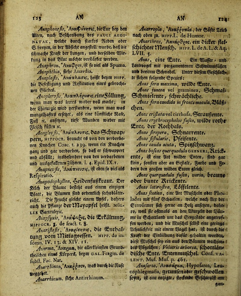 Anaphoneßs, *kvaß)myi<Ti;y ble^itr Up b^lt 5l(fen, nacf) SBefc^reilung pauli aegi- NETAE, welche burc^ ftaifcö Sieben ober <Bi)v<p(n, in ber 3l6fjcf)f angeflefff tvnrbe, bdßbie fcl)a'atf)e 5?rflft ber jungen, unb berfeiben SSir* fiinvj in bag S5fut in^ci)Je bevftdrfef werben. Anaphron^ “Avet^^ov, iji foöieC niö Spuma. Aftnphthia, fte^e Anavdia. Anaplaßs^ 'KvotTtKcidig, l)ci§t 6ei;itt hipp. bie S^efcfligunj unb Sieflitution einc^ gebrod^e» «en ©liebet. ^«i7/;/pro/j/,’Av«7rXjf^wo-/?,cifte5uUung, wenn man wai? leeret wieber boH mad)t; in ber ^^irursie wirb ^erfranben, wenn man »ad mangel^afted erfe^et, aid eine funfiiidje 9?afe, guj? K. anfe^en, tiefe Söunben »ieber mit gfeifd) füllen ic.^ Anaptevßi^ ’ AvscTrXeuTJf, ^Ö6 ©C^tVflp^ pcvil/ HippocR. braucht cd bon ben uerborbe# neu ^nbdjen Coac. t. 339. »enn ein Änodjen ganj unb gar uerborben, fo bag er fd)»apperf unb abfdöf.; indbefonbere bon ben berborbenen unb audgefaCfcnen^dbnen. 1. 4,Epid.IX.T. Anapnevßs, 'hy»Tinv7ig, ig ebenfa biclald Refpiratio. Anapodophßlon, ^^ei'benfupi-ciut. J>er 5?eld> ber 5Slume begebt aud einem eiiijigen 55(att, bie 55lumcn gnb orbentlicb fcdjeblatte* ridjt. ©ie Sr«d)f gleicht einem Slpfel, babero aui bielpganje PeytHaycpfcl beigt. .mül» LER ©arteulejric. Anapfyxir, 'Avsii^v^it, ^^e (SlfalttHtCJ, HIPPOCR. J. de frad. t. g. ' Anarißeßf, ’Av<«^iVJio'<?> t>ie timn vorn tTtittagselTeit, hipp, de in. fömn. IV. 1 3. de XlV. 11. AnarmaßAvot^px, bie aUerffeinfren ©runb.' tbeilcben einid ^dperd, bepm GAL.Fiagm.de fubil. Fac. Nat. Anarrhinon.’Avx^^iKV, »ad bureb bieSiafe »eggebef- - . .. Anarrhinum, gelb« Antirrhinum. • Anarropia, ‘Ava^^awi«, ber ©dfte Stieb nach oben JU. hipp.L. de Humor. Anarthros, 'Axvd^d^iisg, ein ^T(fe^* flß(* fd)icf>tertTIenfcb. hipp.L.dea.L.&Aq. LVn. 5. Auas, eine , €in ?Baflrer^ unb £anbbogeI mit pergamentenen ©d)»immfugen unb breitem ©djnabel. Unter biefem ®ef(hlech*- te geben folgenbe epecied; Anas fern maxima, n?^I^e fültte. Anas juncea vei gramiiiea, 0cl^niö{^ ©c^miclente, fc^ivdc^Iic^e. Anas fern Candida in fronte macula,2^lä^s d)t\u Anas crißafa vcl cirrhofa, 0trai|geittC* Anas eryihrocephalos fufca, tl^ilPe VOt^^’ i£nre, Per Kot(?l;al6. Anas ßrepera, ©cbltölTClltf* Anas fißularis, Pfeifcnte. Anas cauda acuta, ©pi^fc^lUön^. Anas bofeas querquedula g e s n e r i, 2\t*i Cp* cntC/ ig eine 2lrt »ilber €nten, finb gar flein, fongen aber on ©c)!alt, garbe unb ge» bern ben grogen »ilben ©nten gleid^ Anas querquedula fufea, varia, hvüUnt o^el• bunte 2^iid:enre. Anas latiroßra, Xldffelcnte. Anas fcotiea, eine 3(rt «9?ufd)eln ober Plio- lades mit fünf @d)artlett, »clcbe nad) 2lrt ber . 0ce»urmer gd) gerne an ^oij anfe^en, babe» ; ro, »eil ge oftmald an ben Söurjeln bet Södn- mc in ^^ottianb unr bad @cegcgabe angetrof» fen »erben, unb bie 9J?ufcbeI felbg eine geringe 3{cbnlid)foif mit einem SJogcI pat, ig burd) bie ■ Äraft ber ©inbilbung bafur . gehalten »orben> biefe 30infd)cl fep ein and ben95dimcn »adnene > bed'9[)'dgeld)en; p^lucris arborea, fcl^ottldn^ bifc^e ^Znte, Uintenmnfc^el. Conf. va- lent. Muf. Muf. p. 461. Anafarca,‘Avx&x^xx^ AiypoUrca, Lcu^ cophicgmatla, gettiitfenober gefcbtroUeit feyn^ ig eine ro^igte,- getfenbe ©efc^nlg am - gan«