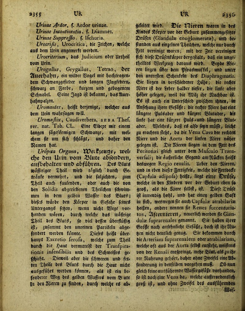 Urinae Afdor^ f. Ardor urinae. Urinae Incontinentia, f. Diamnes. Urinae Suppreßo, f. ifchuria. Urocrißs^ Urocritica, bie lbetd)C ftuö bem Urin nngcinerft t^crben. Urocriterium t baö Judicium ober Urt^eil t)om Urin. Urogallus^ Grygallus, Tetrao, ^C^: 2luei*l?ö^n, ein TOilber SSoget mit ^orf^rrngen» bem ©c^wanjgcfiiebcr unb langen gingfebernr fcl)TOari an garbe, furjem unb gebogenem ©c^nabel. ©eine 3<i9b i|^ befannt/ baö3luer* ^af;npa4en. Uromantes, ^ei§t berjenige, welche nuö bem Urin mabrfagen »iU. Uromeißixy Caudiverbera, seba Thef. rer. nat. Tab. CL. ^ine ®ibc};e mit einem langen fagefdrmigen ©djroanje, mit web cl)em (»t um ficb fcblost^ unb ba^er ben Slawen Uropaea Organa y tX)ei03CHge/ XCth c^e ^cn Uvm vom ^lute öbjon^cvn, äiifbeb^^Itcn mit) abfubien. ©eö SBlutö »afferiger Xbcil wirb täglich 'burd) @e» traufe »erraehitf unb bie faljidjten, jum faulcnben, ober auch bie »on ben Soiidis abgeriobenen ^h^dchen fchwim« men in bem gelben SBoffer bc^ S51uf(^ j biefed würbe ben jldrper in ©efahr feined Untergang^ fe|cn, wenn nidjt 93Sege t^or* hanben waren, burd) weld)e baö wäßrige Shdl bed i^lutä?, fo Piel bejfen überflü§ig ijl, jufammt ben unreinen ^artifeln abge* fonbert werben fonntc. JDiefed hd§t uber= haupt Exeretio ferofa, weldje jum Xh«il burd) bie ^aut permittelfl ber Tranfpira- tionis infenfibilis unb beö ©d)weigeö ge. fchieht« £>iewcib aber bie fchweren unb fet* ten 'i.htde beö Sglutd burch bie ^»aut nicht auggefiihrt werben f^nnen, al^ ijl ein be. fenberer 9Bcg beS gelben SSaffer^ öom S5 utc fn ben alleren $u finben, burd; weld;e eö ab* UR 2 3SCr geleitet wirb. iDie Hieren waren in beö Äinbed ^drper por bec ©eburt jufammengefefete ©rufen (Glandulae couglomeratae), unb be» (lanben au^ einjctnenXheilchen, weld)e nur burch gett bereinigt waren; mit ber bereinigen fid) biefe©rufcnfdrperberge|talt, baß ein unge. theilfeö ?S5erfjeug baraui^ wirb. Sbepbe Slie. ren liegen über bem flfoaömuffel, unb unter ben untcrjlen ©d)enfeln beö Diaphragmatis. ©ic liegen In berfd)iebener fpehe; bie reifte allere iß ber 8ebfr {)a!bcr tiefer, bie linfe aber higher gelegen, weil bie soiilj ihr 3lad)bar iß. iß aud) ein Unterfchieb jwifd)en ihnen, in SInfehung ihrer ©efdße; bie reifte allere hat eine längere ^ulöaber unb furjerc Sölufaber, bie linfe hat eine furjerc ipulö.unb längere S5lut» aber. Sßelche^, baß ed alfo fe^n muffe, leid)t ju erad)fen ßeljt, ba bie Vena Cava ber red)tert allere unb bie Aorta ber linfen allere ndhet gelegen iß. ©ie alleren liegen in bem gett bed Peritonaei gleich unter bem Mufeulo Trans- verfali; bie äußerliche ©egenb am3?u(fen hdßt be^wegen Regio renalis. Ueber ben 'Slieren, unb in eben biefer gettigfeit, welche biegettbeefe (Capfula adipofa) hfl§t, liegt eine ^väfC/ weld)e in ben 5?inbern bor ber ©eburt eben fo groß, olö bie allere felbß, iß. ©iefc ©rufe iß inwenbig hohl / unb hat einen gelben ©aft in ßd), weswegen ße auch Capfulx atrabilarias heißen, anbere nennen ße Renes fuccenturia- tos, 2lffeinici en, neuerlid) werben ße Glan- dula? fuprareiiales genannt, ©le haben ihrer ©ro'ße nad) anfehnliche ©efaße, bod) Iß IhrSlu» §cn nid)t beutlid) genug. ©Ic belommen burd) bieArteriam fuprarenalem ober atrabilariam, weld)e oft auö ber Aorta felbß cntßeht, meißend bon ber Renali entfpringt, mehr Sblut,alöjuih^ rer Slahrung gehört, baher ohne Zweifel eine216* fonberung in benfelbcn borgehen muß. Dbnun gleich feine auöfuhrenbe^aßergefdße borhanben, fo iß bod)eine Vena ba, weld)c außerorbcntlich groß iß, unb oh»t au^fuhrenben 5ßdf.