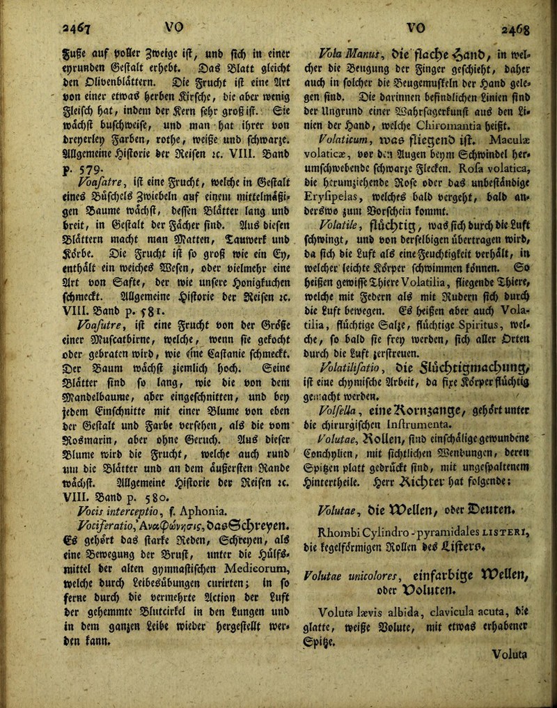 guge auf ifl, unb ftc^ in einet «Drunben @e|laU ergebt, Sßlatt gteiebt ben Dliöenblattern. 5){e grucf)t i(! eine 2irf öon einer eewaö i^tvben Äirfcbe, bie aber ttenig gleifd) t inbem ber ^ern fef)r groß ijr. (Sie n>dd)|l bufebttjeife, unb man bnt ibr^(^ *>00 breperlep Farben, rotbe, weige unb fc()n>arie. Singemeine ^igorle ber 3ietfen k. VIII. SBanb P- 579- Vbafatre, ig eine grudjf, meli^e in ©eflalf eineö Sßufcbelö «wf fineiu mittelmagi» gen Sbaume tt)dd)jl, beffen Sidtter lang unb breit, in ©egalt ber gddber finb. 3iuö tiefen SBIdttern macht man Spiatten, ^lauwerf unb ;Sdrbe. ©ie gruebt ifl fo groß wie ein €9, entbdft ein meicbe^ ?S3efen, ober oielmebr eine 2irt ton ©afte, ber mie unfere ^onigfueben febmeeft. SlÖgemeine J^igorie ber Sieifen k. VIII. S5anb p. f gi* J/bafutre^ i|l fine gruebf öon ber @rdfe einer SO?ufeatbirne, »elcbe, wenn fie gefoebf ober gebraten toirb, wie ((ine €a(Ianie febmeeft. 2)cr S5aum wddjf! jiemlid) bo^b* ©eine SJIdtter ftnb fo lang, wie bie oon bem SOJanbelbaurac, aber eingef(^nitten, unb bep jebem 0nfcbnitte mit einer S5lume ton eben ber ©eflalt unb garbe oerfeben, alö bie oom SJo^marin, aber ohne 6erud). 2luö tiefer SÖlume mirb bie gruibf, toel(^e auch runb um bie S5ldtter unb an bem dugerflen Slanbe toldjg. 2i0gemeine ^ijlorie ber Sveifen k. VIII. SSanb p. 580. Vocis interceptio, f. Aphonia. Voci]'eratio^kvoi,(pmr,(jig^^a&^(^Xtyt\i* gehört baö jlarfe Sveben, ©^ltj;en, alö eine SBemegung ber SBruff, unter bie .^uffö* mittel ber alten g9mnaflifd)en Medieorum, toelcbe bur^ Seibeöubungen curirtenj ln fo ferne burd) bie oermebrte Slction ber Suff ber gehemmte SBlutcirfel in ben Sungen unb in bem ganjen Selbe wiebet b^rsejlellt wer* ben fann. VohManuj^ öie flöc^e-^aitb/ inwel* ^er bie iBengung ber ginger gefebiebt, baber auch in folcber bie ^Beugemuffeln ber ^anb gele* gen finb. ©ie barinnen befinblicben Sinien ftnb ber Ungrunb einer 5Babrf«gcrfunfI auö ben Si* nien ber ,^anb, weld)c Chiromantia beigt» Vülaticum, ivcö fliegcilö ifl. Macula: volatica:, oer bin Slugen bepm ©ib^winbel her* umfd)njcbcnbc fd^war^e glecfen. Rofa volatica, bie berumjiebenbe SKofe ober baiJ unbefldnbige Eryfipelas, welcbeö halb oergebt, halb an* ber^wo jum SSorfebein fommt. Volatile, fluchtig, wa^ ftd) burd)bie Suff febwingt, unb bon berfelbigen übertragen wirb, ba ftd) bie Suft ald einegeud)tigfcit berbdlt, in weld)er (eid)te Ädrper febwimmen fdnnen. ©0 beigen gewiffeXbiereVolatilia, giegenbe 'üblere» wel^e mit gebern al^ mit Oiubern geh bureb bie Suft bewegen. beigen «ber auch Vola- tilia, guebtige ©alje, gud)tige Spiritus, wel* d)e, fo halb fie frep werben, gd) aller Orten burd) bie Suft jergreuen. Volatilifatio, Mo ig eine cbpmifcbe Sirbeit, ba gye Ädrpergüd)tig gei!!ad)t werben. VolfeUa^ enieKoni^cnge, gebdrt unter bie d)irurgifd)en Inftrumenta. yotutae, ixoUeii/ gab einfebdfigegewunbene (Sßnd)pllcn, mit gd)tlid)en SSenbungen, bereu ©pi|cn platt gebrüeft gab, mit ungefpaltenem ^intertbeile. .^err i)at folgenbe; Volutae^ MeXt?ellen, oberiDcutem Rhojnbi Cylindro - pyramidales listeri, bie fegelfdrmigen SioUen be^ U,ifteve* Votutae mkolores^ einfövblgo XVeUm, ober X?ol»teii. Voluta laevis albida, clavicula acuta, b:e glatte, weige SJolute, mit etwa^ erhabener ©pi§e. Voiuta
