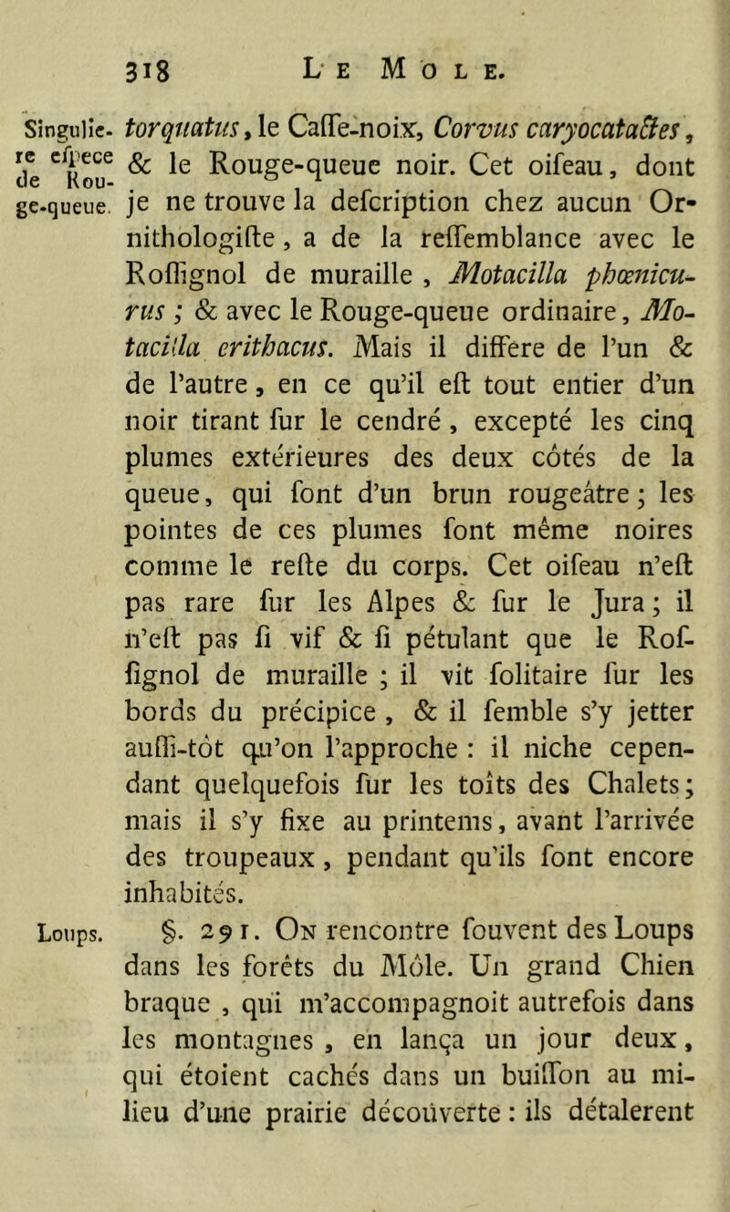 Singulîc- torqiiatiisy\t CaflTe-noix, Corvus caryocata^es, de ^rTu ^ Rouge-queue noir. Cet oifeau, dont ge-queue. je ne trouve la defcription chez aucun Or- nithologifte, a de la reffcmblance avec le Roffignol de muraille , Motacilla phœnicu^ rus ; & avec le Rouge-queue ordinaire, Æo- tacilla erithacus. Mais il différé de l’un & de l’autre, en ce qu’il eft tout entier d’un noir tirant fur le cendré, excepté les cinq plumes extérieures des deux côtés de la queue, qui font d’un brun rougeâtre; les pointes de ces plumes font même noires comme le refte du corps. Cet oifeau n’eft pas rare fur les Alpes & fur le Jura ; il ii’elt pas fl vif & fi pétulant que le Rof- lîgnol de muraille ; il vit folitaire fur les bords du précipice , & il femble s’y jetter auffi-tôt qu’on l’approche : il niche cepen- dant quelquefois fur les toits des Chalets; mais il s’y fixe au priiitems, avant l’arrivée des troupeaux, pendant qu’ils font encore inhabités. Loups. §. 25» I. On rencontre fouvent des Loups dans les forêts du Môle. Un grand Chien braque , qui m’accompagnoit autrefois dans les montagnes , en lança un jour deux, qui étoient cachés dans un builfon au mi- lieu d’une prairie découverte : ils détalèrent