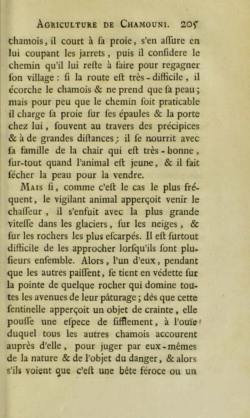 chamois, il court à fa proie, s’en alTure en lui coupant les jarrets, puis il confidere le chemin qu’il lui refte à faire pour regagner fon village : fi la route eft très - difficile, il écorche le chamois & ne prend que fa peau ; mais pour peu que le chemin foit praticable il charge fa proie fur fes épaules & la porte chez lui, fouvent au travers des précipices & à de grandes diftances; il fe nourrit avec fa famille de la chair qui eft très - bonne, fur-tout quand l’animal eft jeune, & il fait fécher la peau pour la vendre. Mais fi, comme c’eft le cas le plus fré- quent , le vigilant animal apperçoit venir le chalfeur , il s’enfuit avec la plus grande vîtefte dans les glaciers, fur les neiges, & fur les rochers les plus efcarpés. Il eft furtout difficile de les approcher lorfqu’ils font plu- fieurs enfemble. Alors, l’un d’eux, pendant que les autres pailfent, fe tient en vedette fur la pointe de quelque rocher qui domine tou- tes les avenues de leur pâturage ; dés que cette fentinelle apperçoit un objet de crainte , elle poufle une efpece de fifflement, à l’ouïe» duquel tous les autres chamois accourent auprès d’elle, pour juger par eux-mêmes de la nature & de l’objet du danger, & alors s’ils voient que c’eft une bête féroce ou un