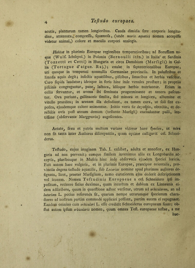 acutis, plantarum tamen longioribus. Cauda dimidia fere corporis longitu- dine, attenuata, comprefla, fquamofa, (unde muris aquatici nomen accepifle videtur animal,) colore et maculis corpori analogis. Habitat in plurimis Europae regionibus temperatioribus; ad Boruffiam us- que (Wulf. Ichthyol.) in Polonia (Bernoulli itin.) in Italia’ et Sardinia (Tozzetti et Cetti) in Hungaria et circa Danubium (Marfigli) in Gal- lia (Tortugue d’aigue. Raj.); exulat in feptentrionalibus Europae, uti quoque in temperati nonnullis Germaniae provinciis. In palufbribus et limofis aquis degit; infeftis aquatilibus, pifcibus, limacibus et herbis vefcitur. Caro fapida laudatur; ideoque ia foris hinc inde venales proflant; in propriis pifcinis congregantur,-pane, laftuca, aliisque herbis nutriuntur. Etiam in cellis fervantur, et avena ibi feminata progerminante et tenera pafcun- tur. Ova pariunt, gallinaceis fimilia, fed minora et longiora, albumine et vitello praedita; in arenam illa defodiunt, ea tamen cura, ut foli fint ex- pofita, ejusdemque calore animentur. Initio veris fic depofitis, obtedis, et de- relictis ovis pofl annum demum (teflantc Marfigli) excluduntur pulli, len- tiffime (obfervante Marggravio) augefcentes. Aetate^ fexu et patria multum variare videtur haec fpecies, ut mira non fit tanta inter Audores difcrepantia, quam optime cafligavit cel. Schnei- derus. Tefludo, cujus imaginem Tab. ,1. exhibet, adulta et annofior, ex Hun- garia ad nos pervenit;* eamque fmilem invenimus aliis ex Longobardia,ac- ceptis, pluribusque in Mufeis hinc inde obfervatis ejusdem fpeciei loricis. Fuit autem haec vulgaris, et in plurimis Europae, praecipue orientalis, pro- vinciis degens tefludo aqUatilis, fub Lutariae nomine apud plurimos audores de- fignata, licet, praeter Marfiglium, nemo curatiorem ejus dederit defcriptionem vel iconem. Nomen Teftudinis Europaeae a cel. Schneidero ipfi im- pofitum, retinere fatius duximus, quam incertum et dubium ex Linneanis ei- dem adfcribere, quum in quaeflione adliiic verfetur, utrum ad orbicularem, an ad lutariam L. potius referenda fit, quarum nempe utrarumque fpecierum chara- ' deres ad noflram partim commode applicari polfimt, partim autem ei repugnant. Eandem omnino cum orbiculari L. efle credidit Schneiderus europaeam fiiam; ob- ftat autem ipfum orbicularis nomen, quum omnes Tefl. europaeae teflae, a me - huc-