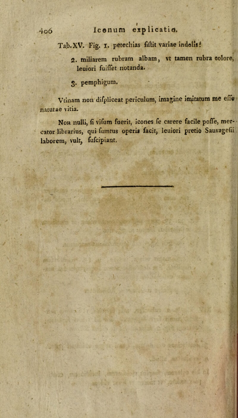 I Tab.XV. Fig. I. petechias fiftit variae Indolis f 2. miliarem rubram albam, vt tamen rubra colore, leuiori fuilTet notanda. 3. pemphigum. Vtlnam non difpliceat periculum, imagine inutatum me efie naturae vitia. Non nulli, fi vifum fuerit, Icones fe carere facile pofle, mer- cator librarius, qui fumtus operis facit, leuiori pretio Sauvagefii laborem, vult, fufcipiant.