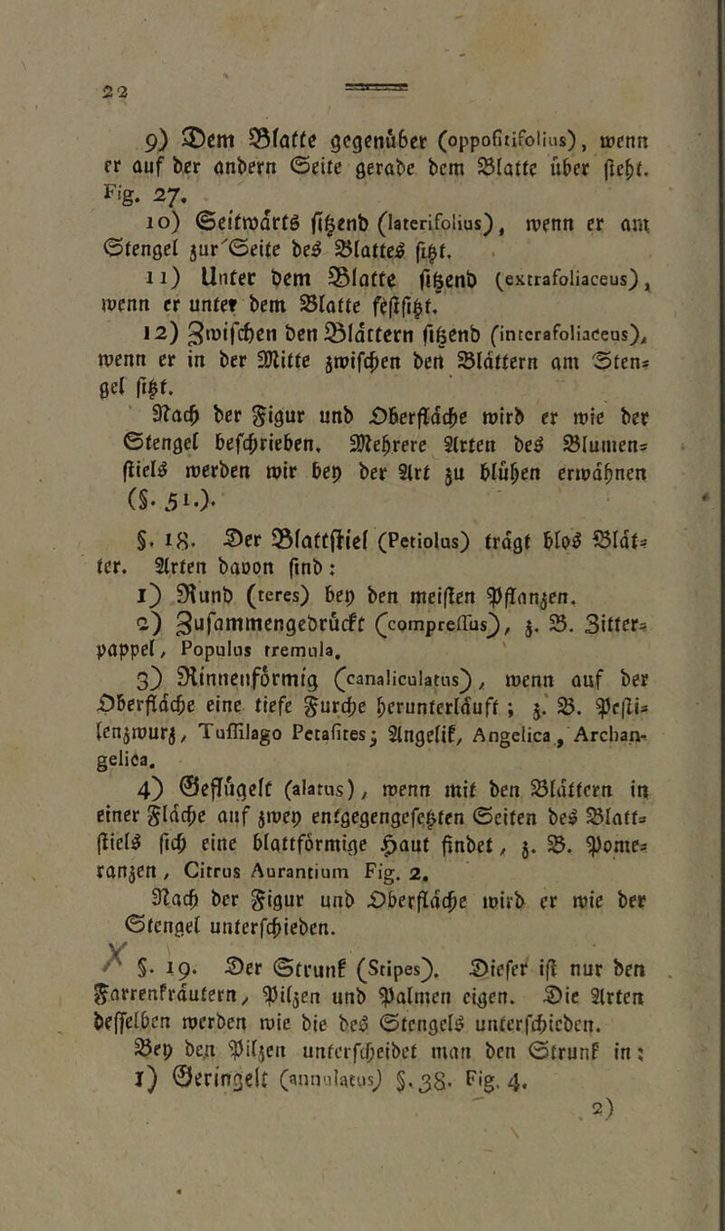 er auf ber anbern ©dte gerabe bcm Platte übet Fig. 27. 10) (5cttn)Qr(6 f[§cnb (laterifolius), tvenn er am ©tengel 5ur'©eifc be^ S^latte^ fi^f. 11) Unter bem 35Iatte (törnb (^extrafoiiaceus), menn er unter bem Platte feflfi^^' 12) ^luifc^en beniÖIdttern fiöenb fintcrafoHaceus)^ wenn er in ber Witte jmifc^en bert Sldttern am ©tens get filf. 3?ac^ ber ^igur unb £)6erfldcbe wirb er mic ber ©tengcl befc^rieben, 3Jtebrerc 2(tten beg Siumens (llel^ werben wir bep ber 9lrt ju bluten erwähnen (S. 3i0- §, 18* S^rr Sfattfliei (Petiolus) tragt blog ^Sldt? ter. 2trtcn baoon finb: 1} Dlunb (teres) bep ben melflen ^flan^en, 2) (^compreffus^ / 5. 23. Sitter? pappet, Populus rremnla. ' 3} Dltnnenformtg (canaliculatns), wenn auf ber i^berfidebe eine tiefe ^urepe perunterlduft; ^c|Iis (cnjwurj, Tuffilago Petafites^ Singetif, Angelica , Arcban-- geliea. 4) ©efTugeft (alatus), wenn mit ben SÖIdtfern in einer gldcpe auf jwep entgegengefe^ten ©eiten be^ ^laft» (liel^ fiep eine blattförmige .^aut finbet, j. ^onic? rangen , Citrus Aurantium Fig. 2, 3Iacp ber gigur unb ©berfidepe wirb er wie ber ©fengei unterfepieben. X §. ip. S)er ©ti’unf (Stipes]). 5)iefer ifl nur ben . ^orrenfrdutern^ ^itjen unb Halmen eigen. 5)ic Sitten beffelben werben wie bie be^ ©tcngel^ unterfepieben. ^ep be,n ''])i[jcn unterfepeibet man ben ©trunf in j l) ©eringcit (annulatusj §,38* F'g. 4. 2)