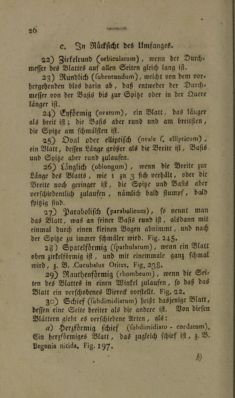 c. 3» S^öcffic^t bßö Umfatigeß. C12) ^orbiculatum), trenn bcr ^Durcb* mc(fcr bc^ Slattc^ auf aßen ©eiten gicicf; lang i|L 23) Slutibltc^ (fubrotundum); treicbt oon bent rors bergebcnben blo^ barin ab / ba^ entroeber ber Surcf)* meffer oon ber ^Saft^ bi^ 5ur ©pi^c pbcr in bcr £Juerc Idnger i(l. 24) i5i)f6rmig (ovatum), ein Statt/ baö tdugcr aU breit ifl; bic Saft^ aber runb unb am breitjlen / bie ©pi§c am f(bmdt(ten i(t. aS) Obat ober cdiptifc^ (ovale f. ellipticum), ein Statt/ beffcn Sdnge großer at^ bic Sreitc i(f/ Safi^. unb ©pi^e aber runb jutaufcn. 26) (vingticö (oblongum) / trenn bie Srcite jur Sdngc be^ Statte / trie i ju 3 fiel; rer^dlt / ober bic Srcite noch geringer i(l / bic ©pit^c unb Saft^ aber rerfebicbenttieb jutaufcn , ndmlicb batb (iumpf / batb fpi^ig ftnb. 27^ ^arabotifeb (parabolicum), fo nennt man ba^ Statt/ ma^ an feiner Sajtö runb ifl, al^bann mit einmat bureb einen fteinen Sogen abnimmt / unb nach ber ©pi^c ju immer febmdter trirb. Fig. 245* 28) ©patelförttttg (rpathulatum)/ trenn ein Statt oben jirfelformig i(! / unb mit cinemmale ganj febmat trirb/ J. S. .Cucubalus Otites, Fig. 238. 29) Slnutbenfarmig (rhombcum) / trenn bic ©ei* ten bc^ Stattet in einen ^infel jutaufcn/ fo ba^ baö Statt ein rerfebobene^ Siereef rorjießt. Fig. 22. 30) ©ebief (tubdimidiatum) bcift ba^jcnigc statt/ beffen eine ©eite breiter alö bic anbere i(l. Son biefen Stdttern giebt e^ rerfebiebene Strten/ at^: a) -^erjforntig febief (fubdimidiato - cordatum). ©in Statt / ba^ jugteieb febief ifl # j- Begonia nitida, Fig. 197. .*)