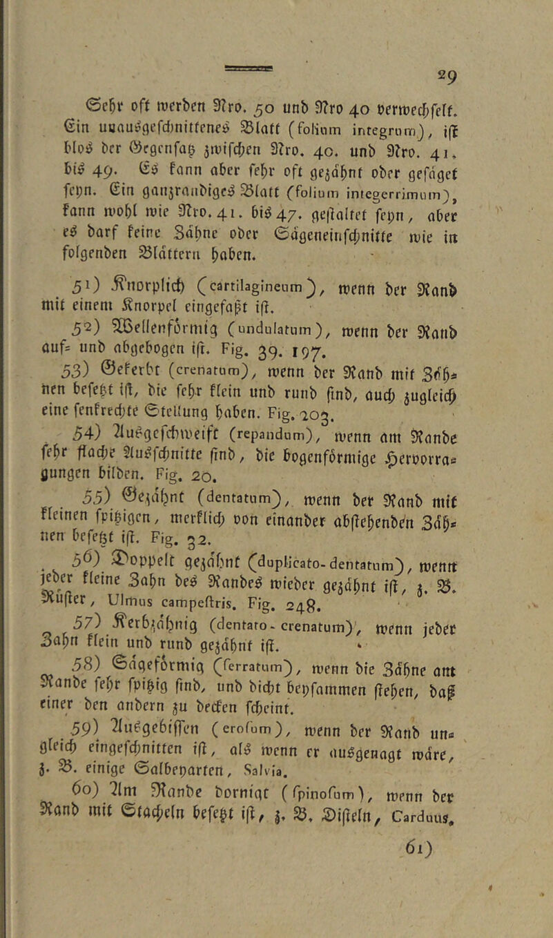 0c^i‘ oft werben 3?ri>. 50 unb 9?ro 40 Perwecbfeff. €in uaauipgefd)nitfene^ (foliom inregrnm), j(t bloiJ bcr örgcnfa^ jwifcben 3Zro. 40. unb 9?ro. 41. bi^ 49. fann aber fef)r oft gejo^nt ober gefiiget fepn. 6in gililjrnnblge^ ^(ntt (^foliuin iniegerrimum^^ fann wobt wie 9Zro.4i. bis 4/. ge|klfet fepn, aber eS barf feine Sdbnc ober ©dgeneinfd;ni«e wie in fotgenben Plottern halben. 51) ^norplirf) (cartilagineum), luenn ber 9Janb mit einem Änorpet eingefaßt iff. 52) 5[Bellenforml9 (undulatum), roenn ber 9?(inb auf* unb abgebogen ift. Fig. 39. 197. 53) ©eferbr (crenatum), menn ber 9fanb mit nen befept {(f, bie febr ftein unb runb finb, auch jugleic^ eine renfred;fe 0tcl!ung haben. Fig. 703. 54) ^u^gcjchweiff (repandum), rvenn am Öfanbe febr ffad;e Stu^fepnitte finb, bie bogenfbrmige .^eroorra« flungen bilbcn. Fig. 20. 55) ©erahnt (dentatnm), menn bef 3?anb mit fteinen fpipigen, merflid; oon elnanber übflebenben Sdß* nen befeftf i(f. Fig. 32. . 5^} 3^oppe(t gebahnt (^duplicato-dentatum^, wentt jeber fteine 3obn be^ 9vanbe^ wieber gejdbnt ift, j. 35. vvufter, Ulitius campeftris. Fig. 249. >57) •^er6;,ahnig (dentaro* crenatum), wenn jebet Sapn ftein unb runb ge5dbnf ift. ‘ 58) ©dqeformig (ferratum), toenn bie 3dbne ant Kanbe fepr fpi^ig ftnb, unb biept bepfammen fteben, baf einer ben anbern ju beefen fcpcint. .59) 2tu^ge6iffen (erofum), trenn ber 3fanb un« gleich eingefd;nitren ift, alS wenn er auögenagt wdre, ' }. 23. einige ©atbeparfen, Salvia. 60) 2lni 3tnnbe borniqr (fpinofum), tuenn bep 3{anb mit ©(ad;etn befe^t ift, :£)iftern, Cardmis. 61)