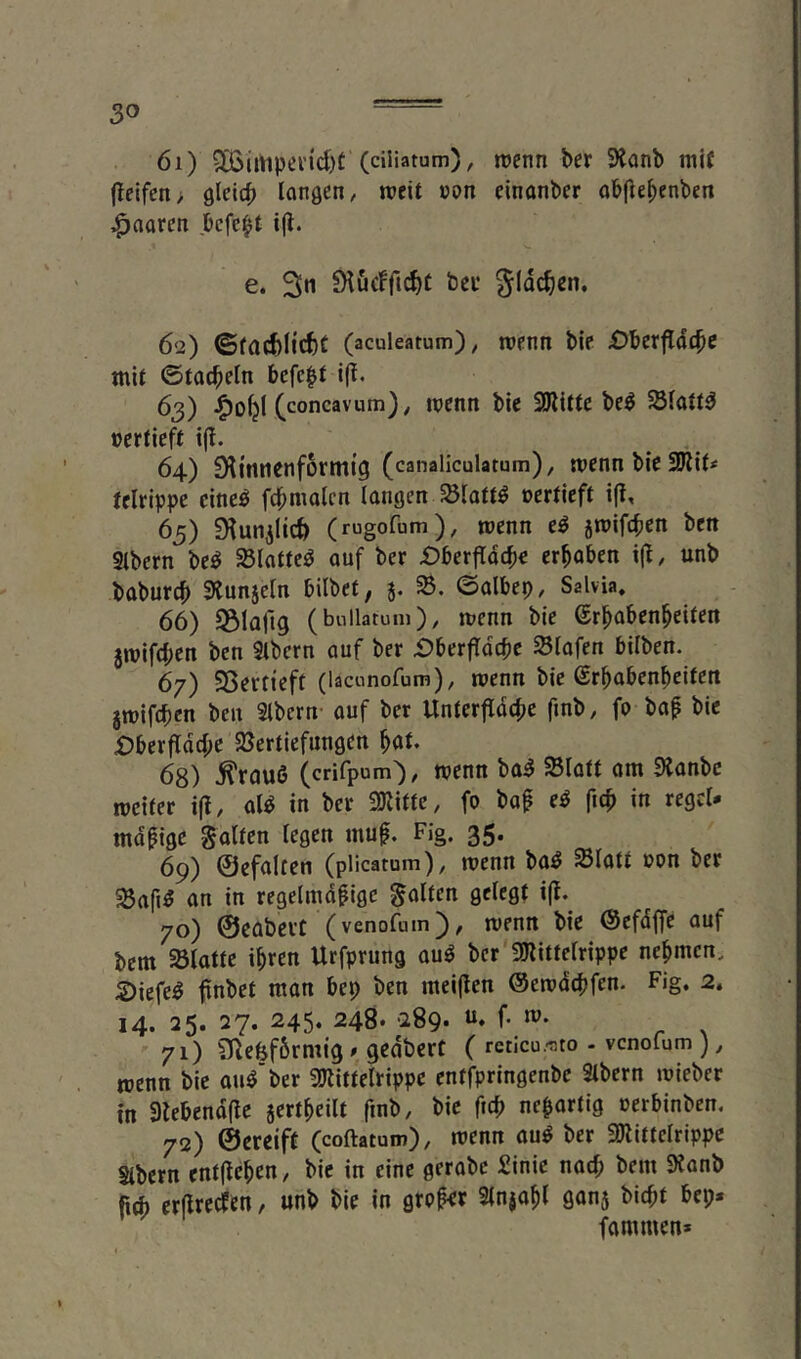61) (ciliatum), lüenn bcf 9Janb mi( fleifcn> gicicp longen/ weit »on cinonber objlebenben paaren bcfc^t i(l. e. Sn fKucfftc^C bei* gldc^en. 62) ©fad)I{ct)C (aculeatum); njcnii bip £)bcrfldc^c mit ©tackeln befept i(^. 63) J^o^I Cconcavum)^ mcnn bie SJlitte be^ 58Iaü5 ücrticft i(l. 64) Dtinnenformtg (canaliculatum), menn bic felrippe eineö febmden (atiflen oertieft i(l, 65) ?Kunilic6 (rugofum), wenn e^ jmifeben ben Sibern bc^ Slotte^ auf ber £?berfldcbe ergaben i(l, unb baburc^ 9tun5clu bilbet, 5. ©albep, Salvia. 66) S^Iaftg (bnllatum), mcun bie er^aben^cifen jwifeben ben 3lbern auf ber £)berfTdcbc EBlafert bilben. 67) 33ertieft (lacnnofum), tpcnn bie ßrbabenbeiten jmifeben beit Stbern- auf ber Unterfldcfie finb, fo bap bie £)berfld4)e SJertiefungen ^at. 68) ^rauö (crifpum), wenn ba^ Slott am 9{anbc mcifer ifl, al^ in ber mtu, fo bap e^ ficb in regcl* mäßige galten legen muf, Fig. 35. 69) ©efaltcn (plicatum), menn ba^ ^latt oon ber SSafiö an in regelmäßige galten gelegt i(t. 70) ©eabevt (venofum), menn bie ©cfdffe auf bem SBlatte ißren Urfprung au^ bcr'üfJlittelrippe nehmen. S)iefe^ ftnbet man bep ben meinen ©emdepfen. Fig, 2» 14. 25. 27. 245, 248. •289- f- . 71) SRe&fSrmig» gedbert ( rcticu-nto - vcnoium) ^ wenn bie au^'ber SÖlittelrippc entfpringenbe 9lbern wieber in 3lebend(le sertßeilt finb, bie fteb neuartig oerbinbem 72) ©ereifü (coftatum), menn auö ber 2)littelrippc Slbern entliehen, bie in eine gerabe £inic natb bem 9ianb Rd) erareefen, unb bie in großer Sln^aßl 9an5 bießt bep. fammen»